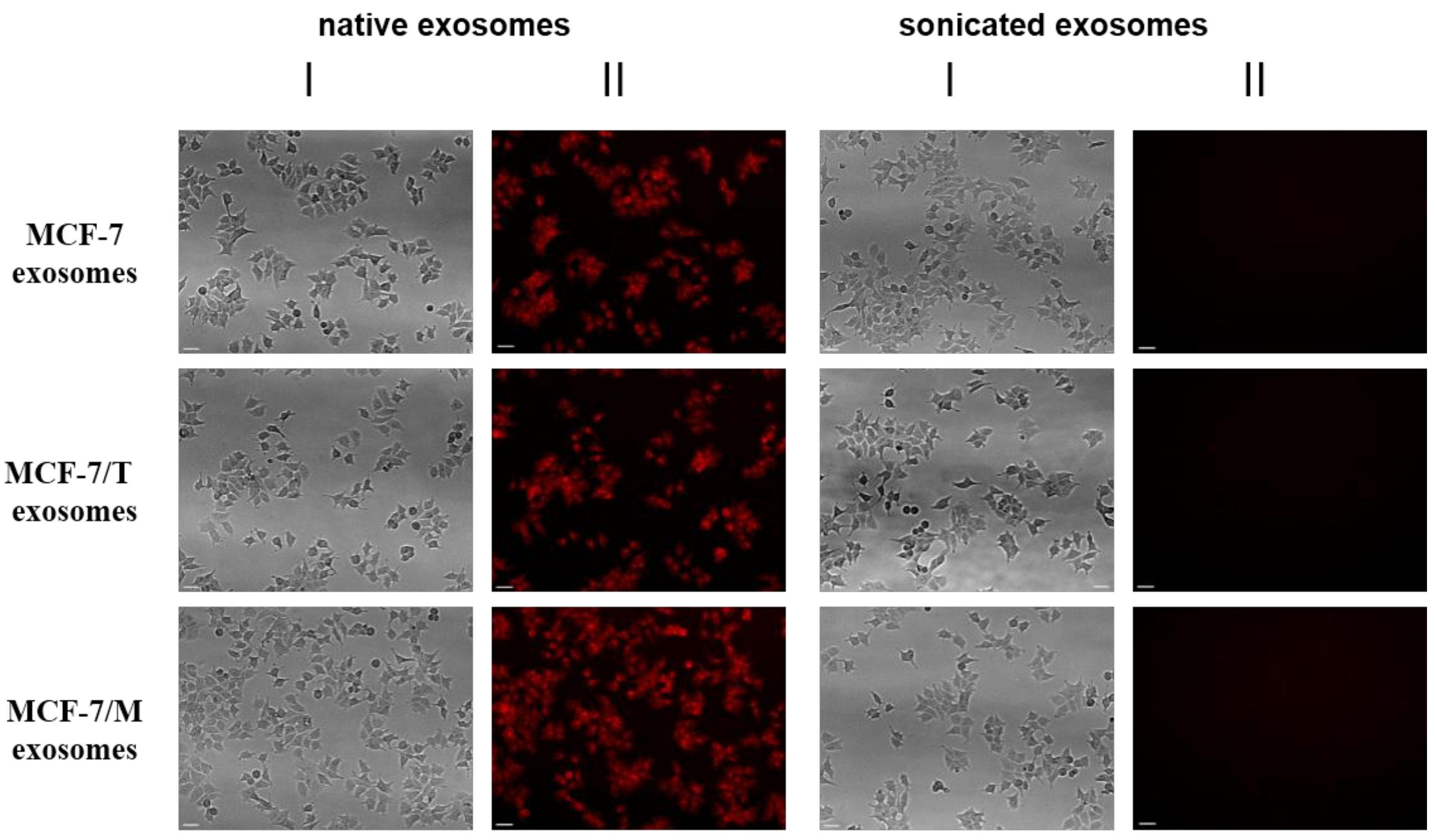 Molecules 23 00829 g003a Molecules 23 00829 g003a