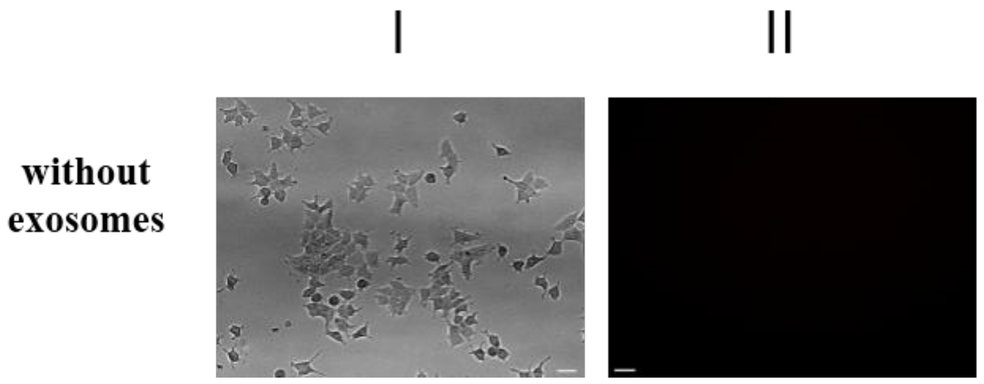 Molecules 23 00829 g003b Molecules 23 00829 g003b