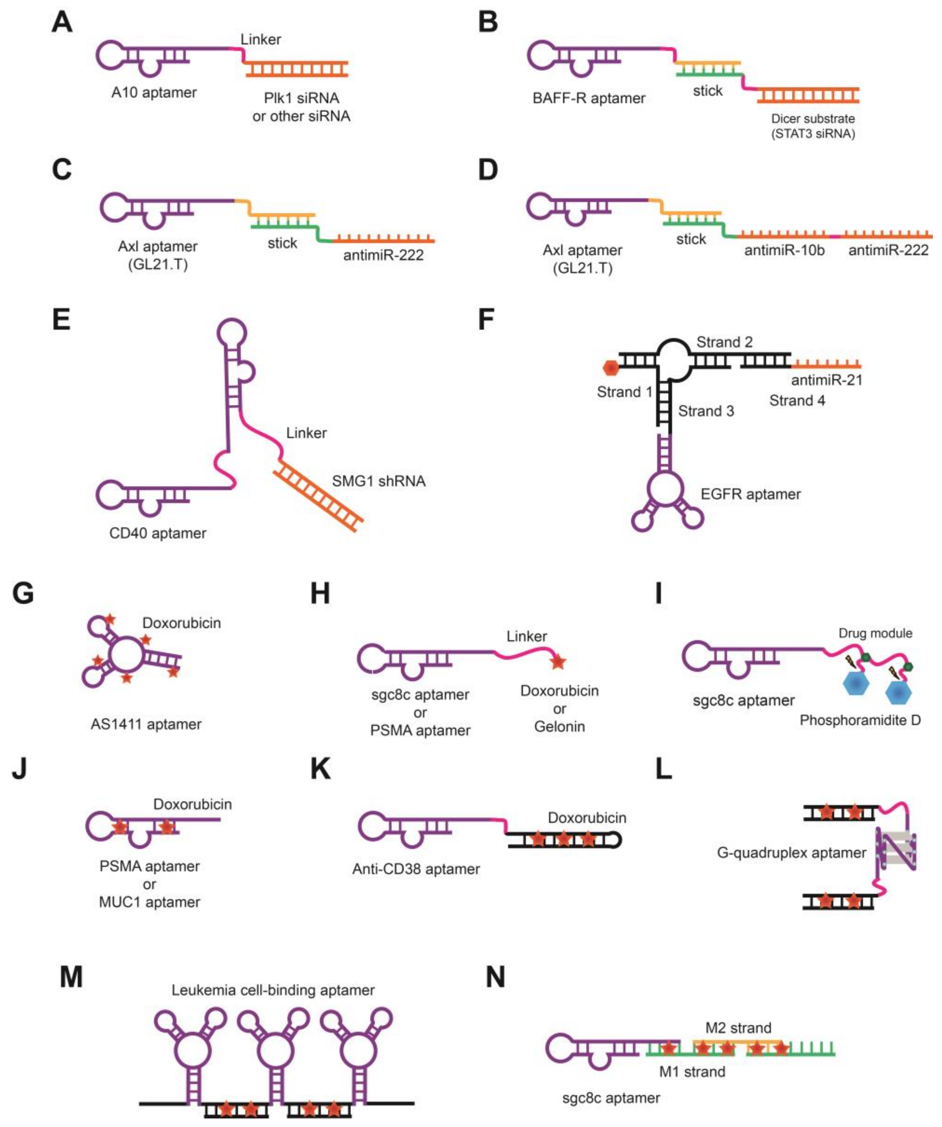 Molecules 23 00830 g002