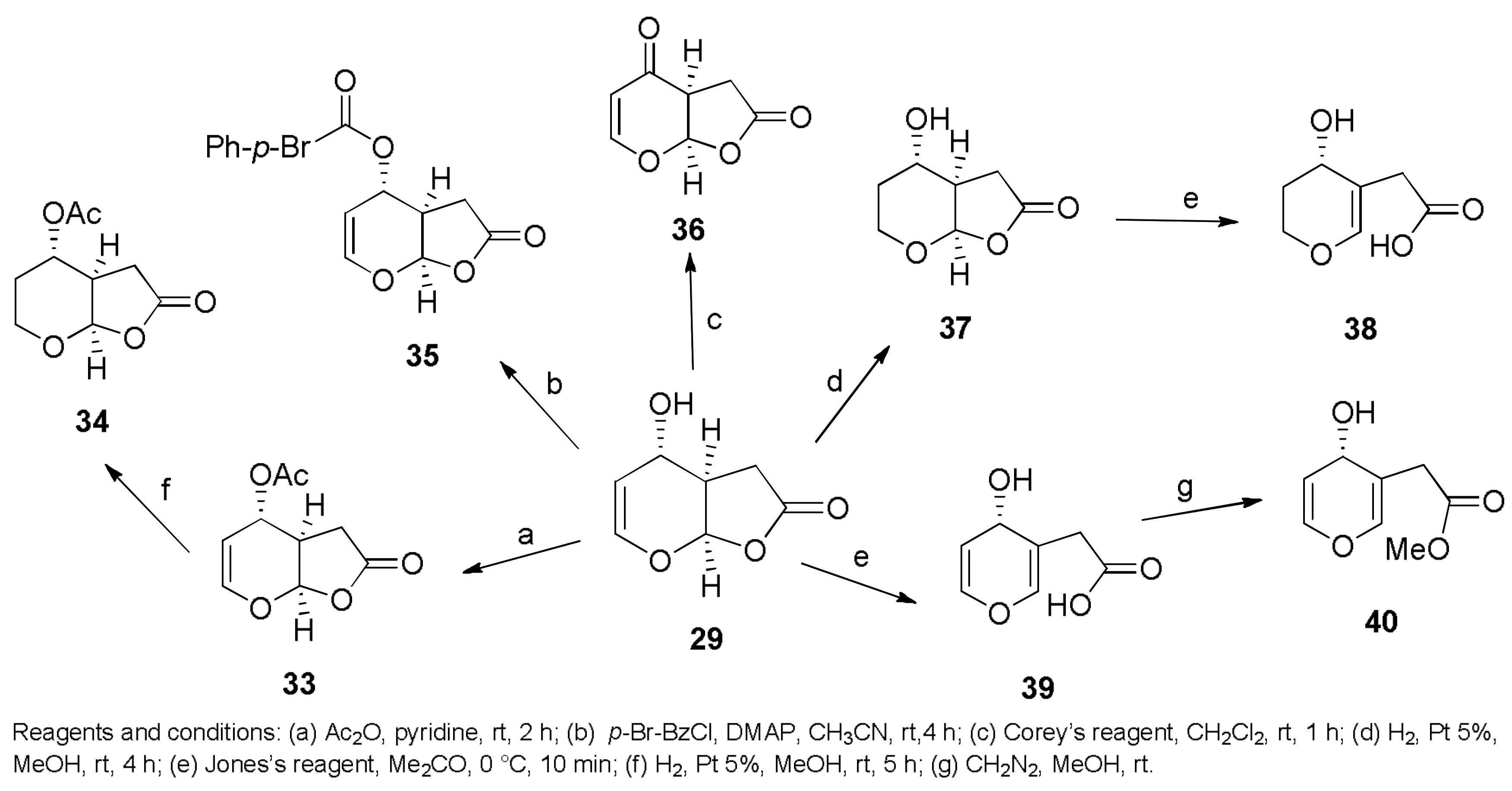 Molecules 23 00834 sch006