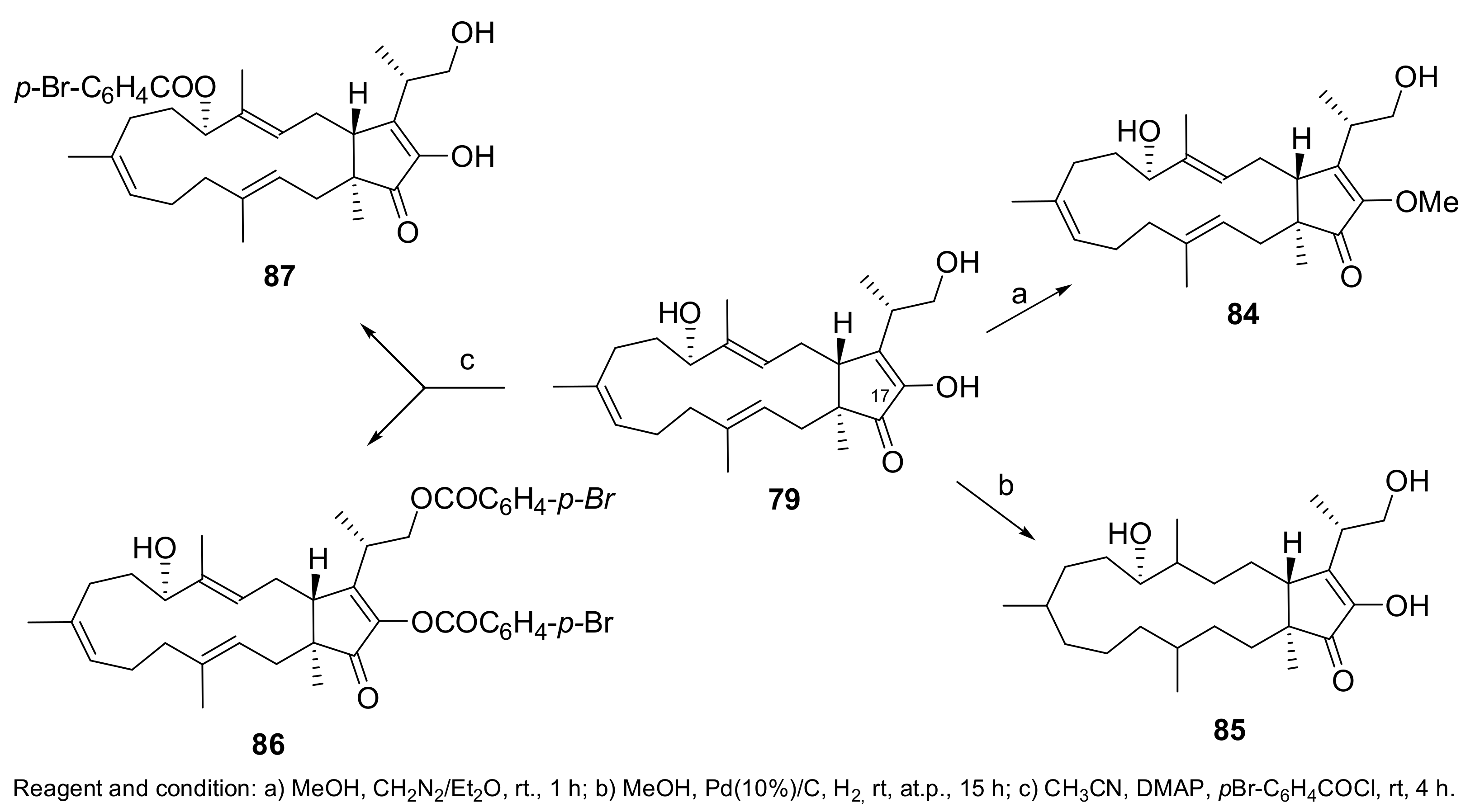 Molecules 23 00834 sch008