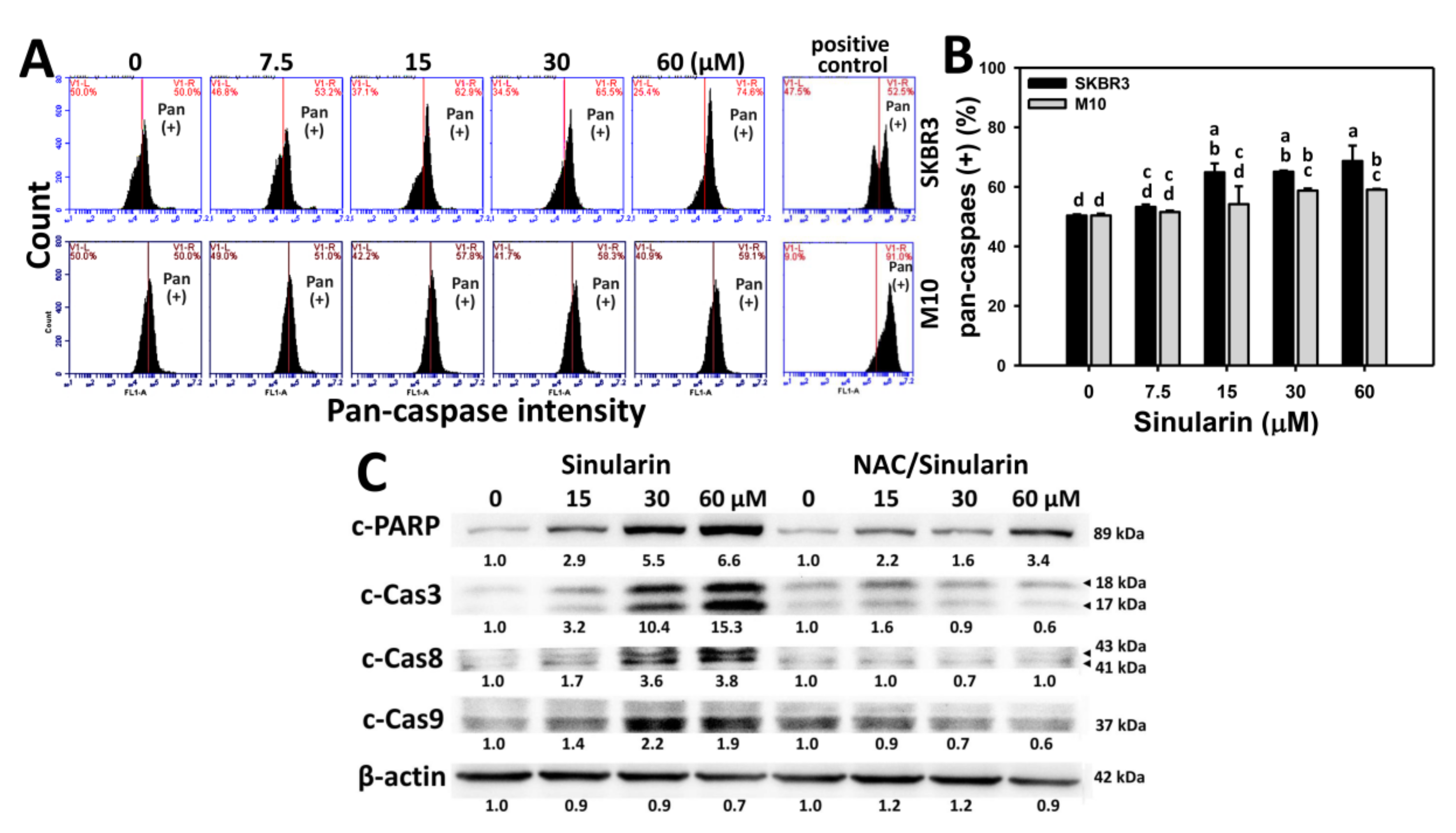 Molecules 23 00849 g004