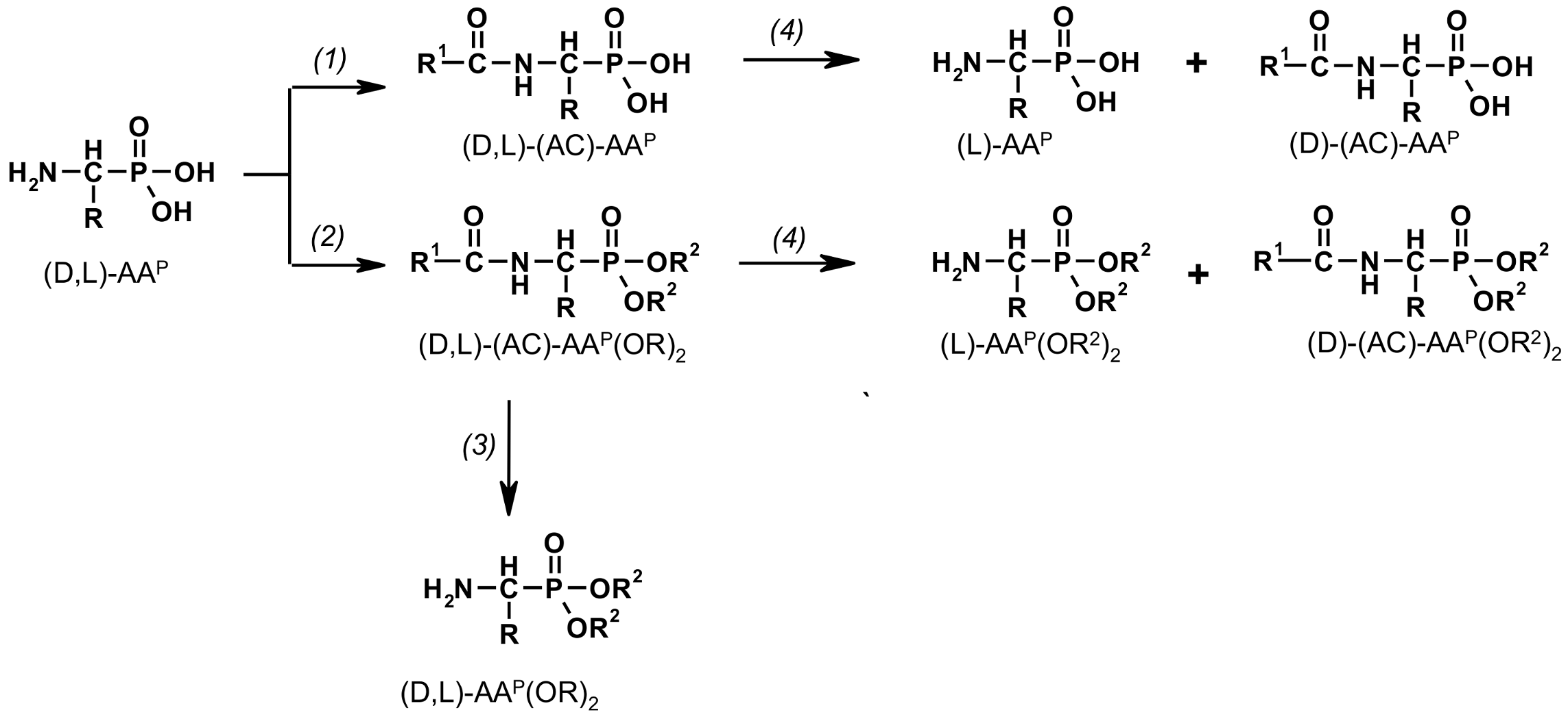 Molecules 23 00859 g001