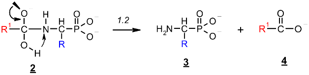 Molecules 23 00859 i021