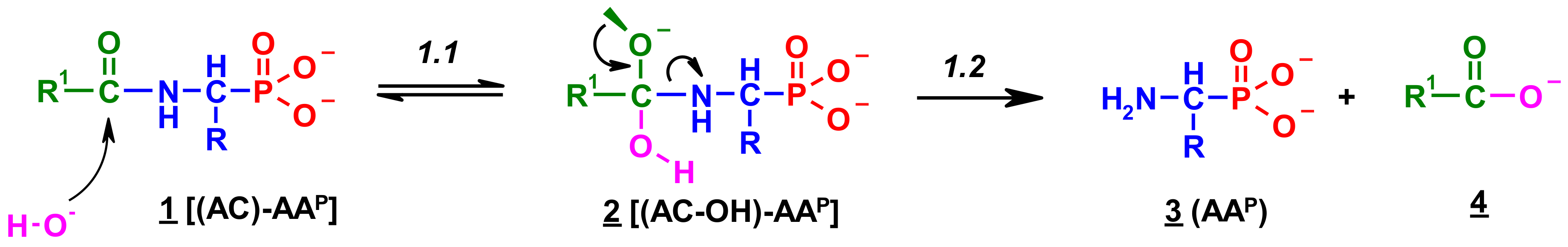 Molecules 23 00859 sch001