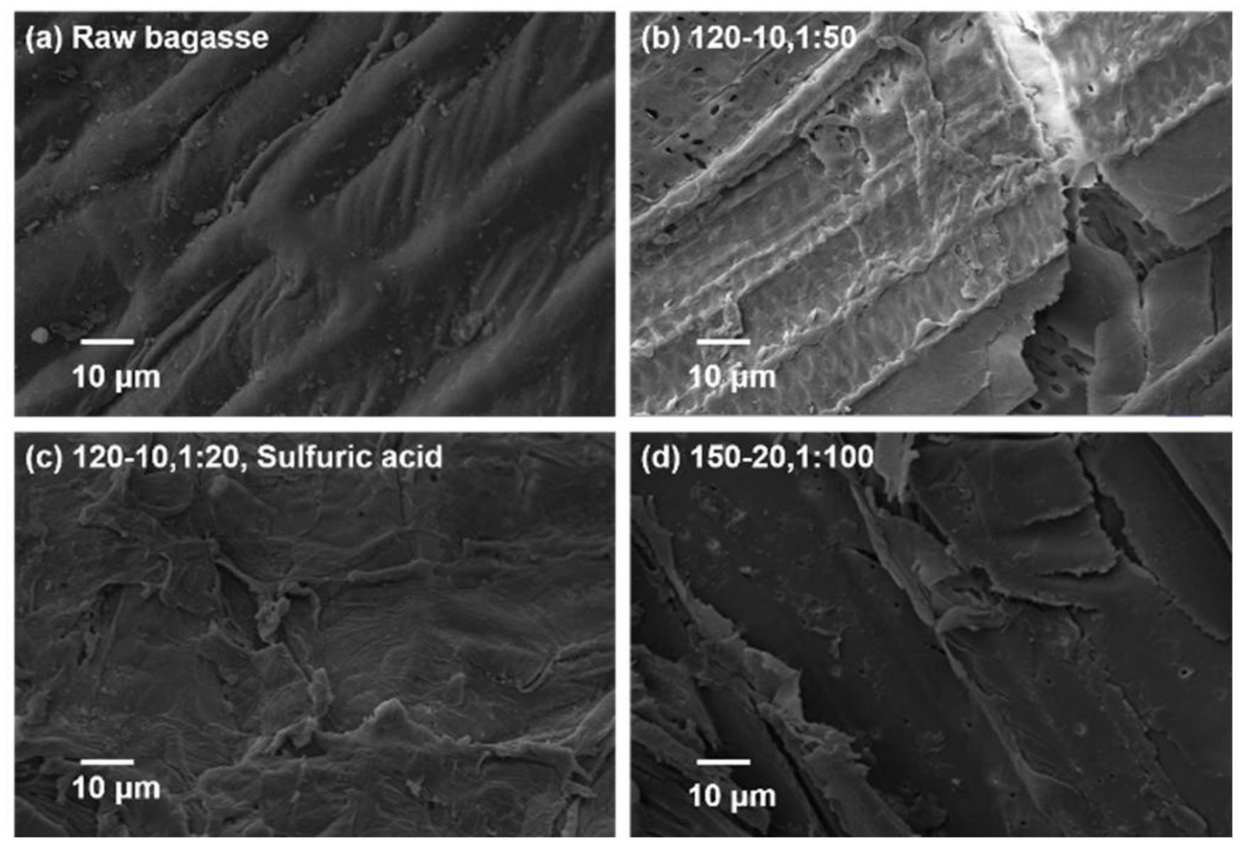 Molecules 23 00862 g005