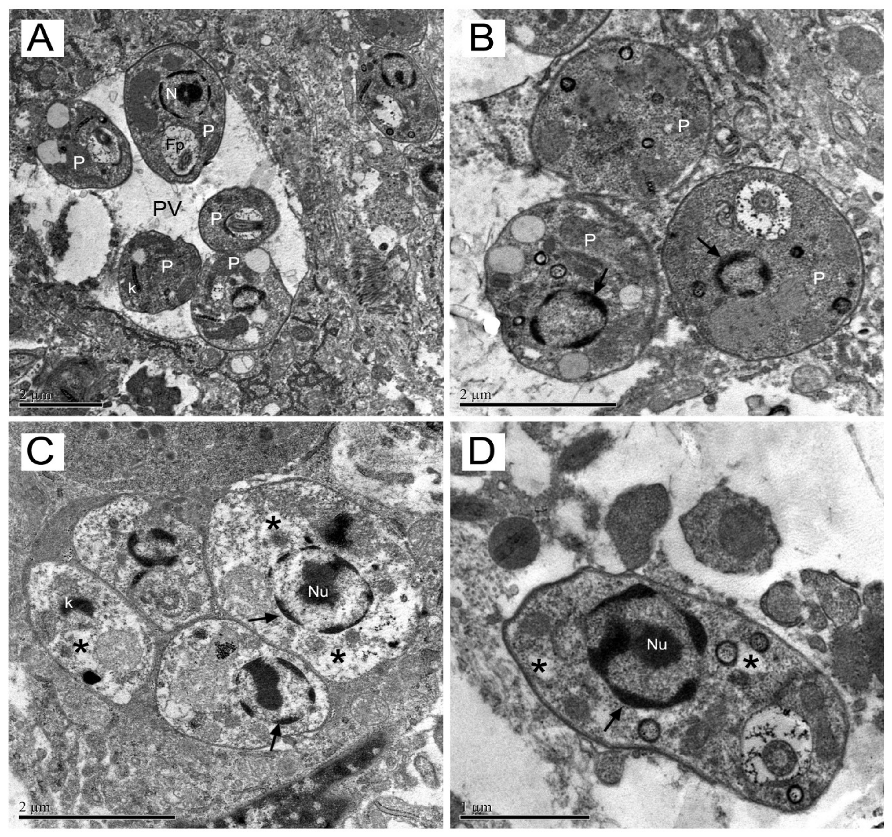 Molecules 23 00864 g005