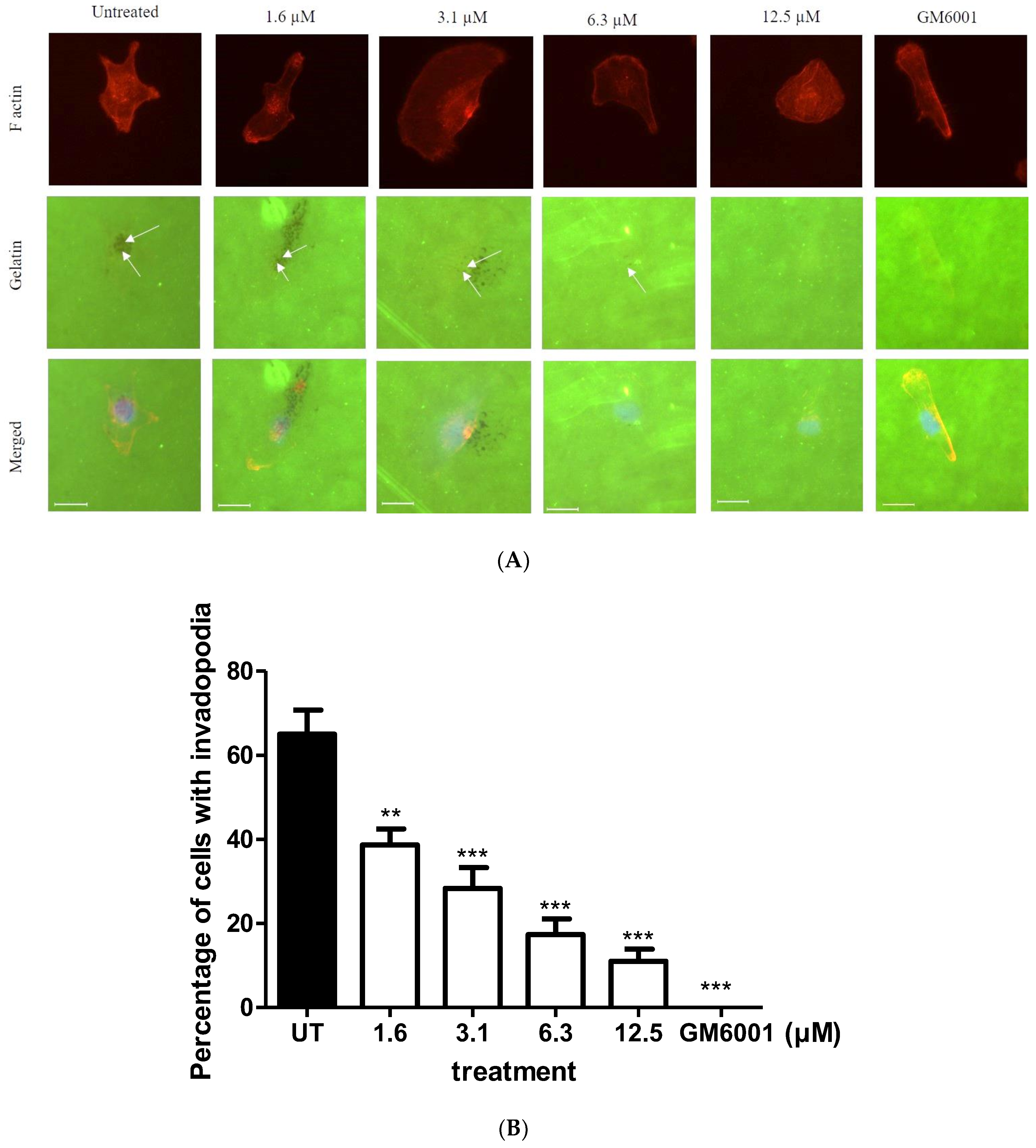Molecules 23 00865 g003