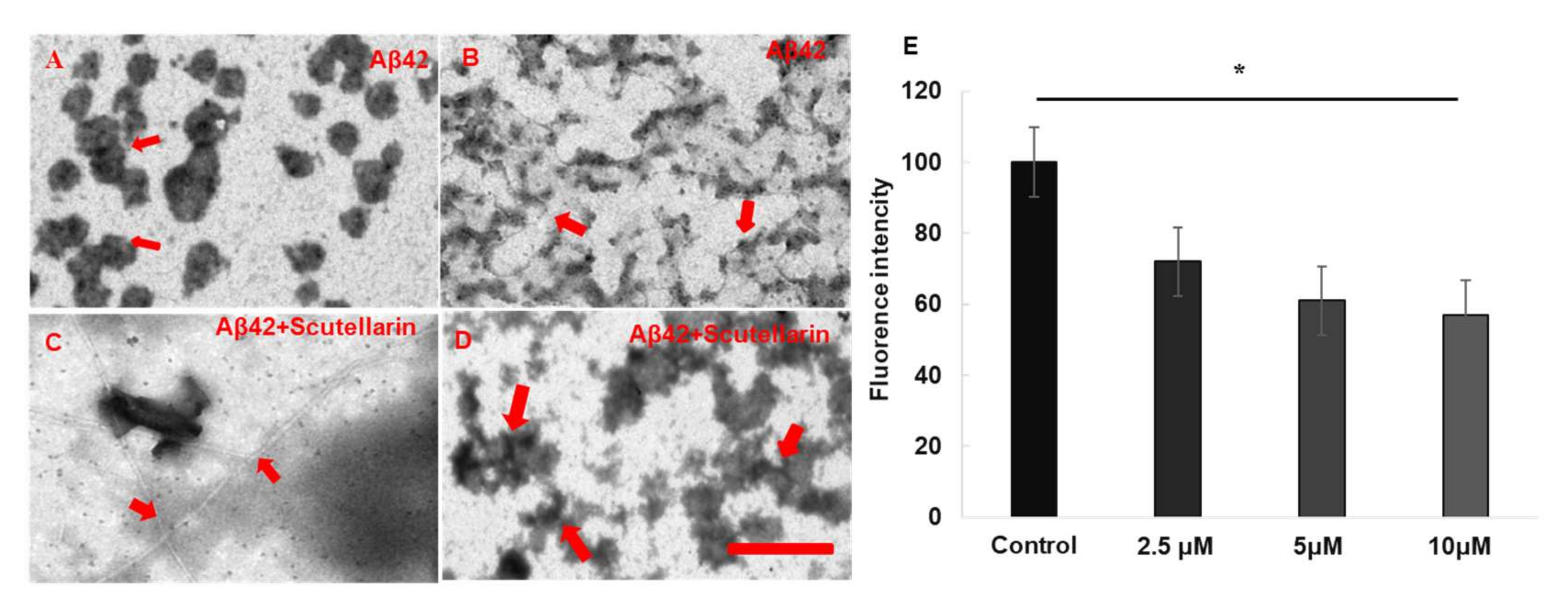 Molecules 23 00869 g003