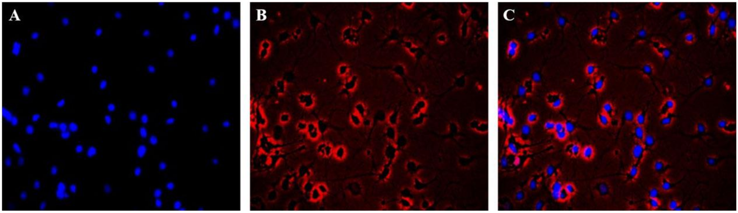 Molecules 23 00870 g002