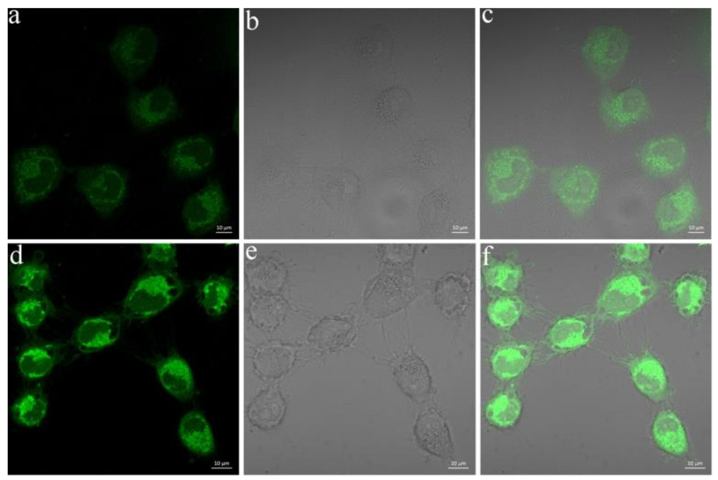 Molecules 23 00871 g008