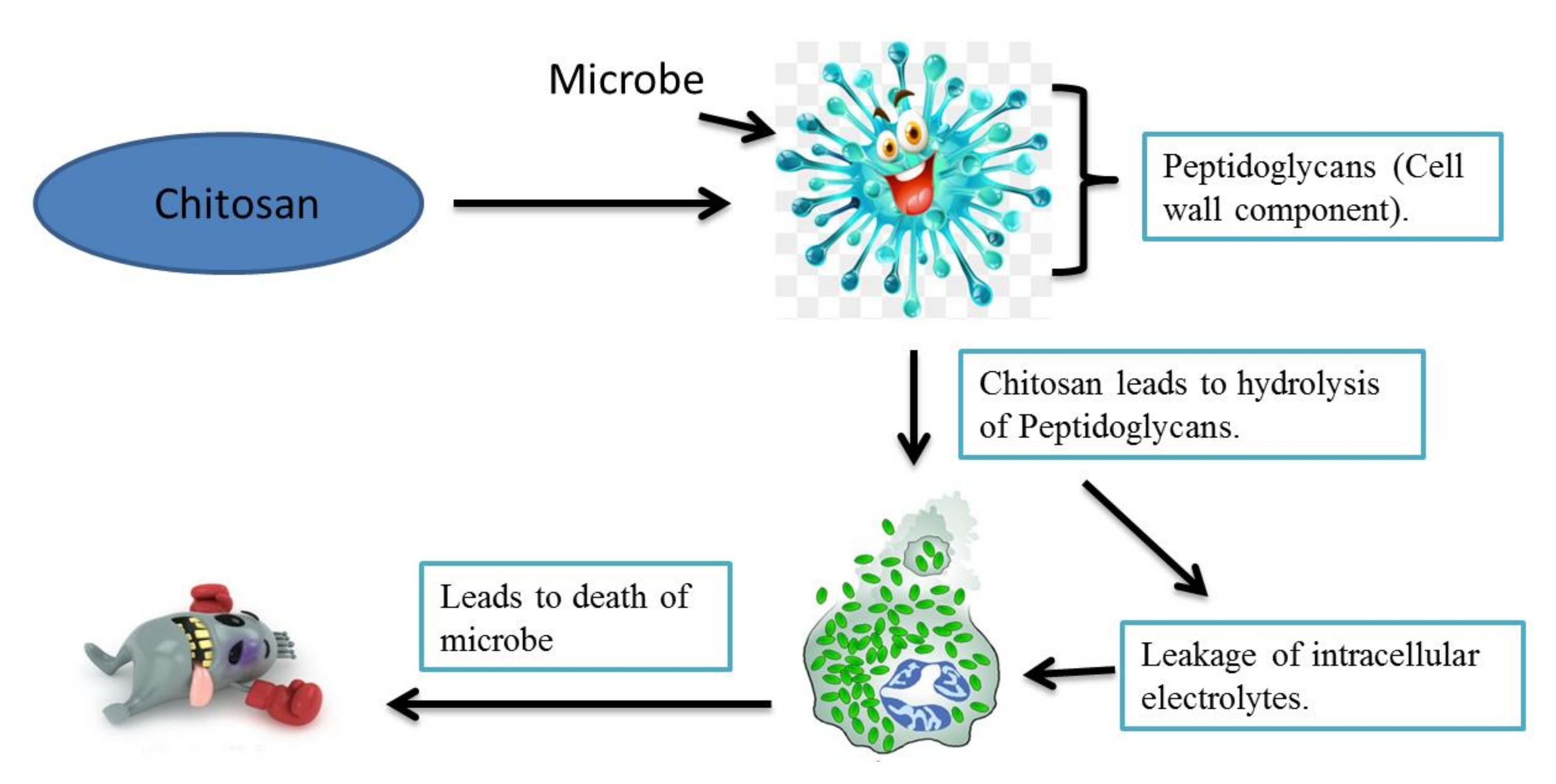 Molecules 23 00872 g002