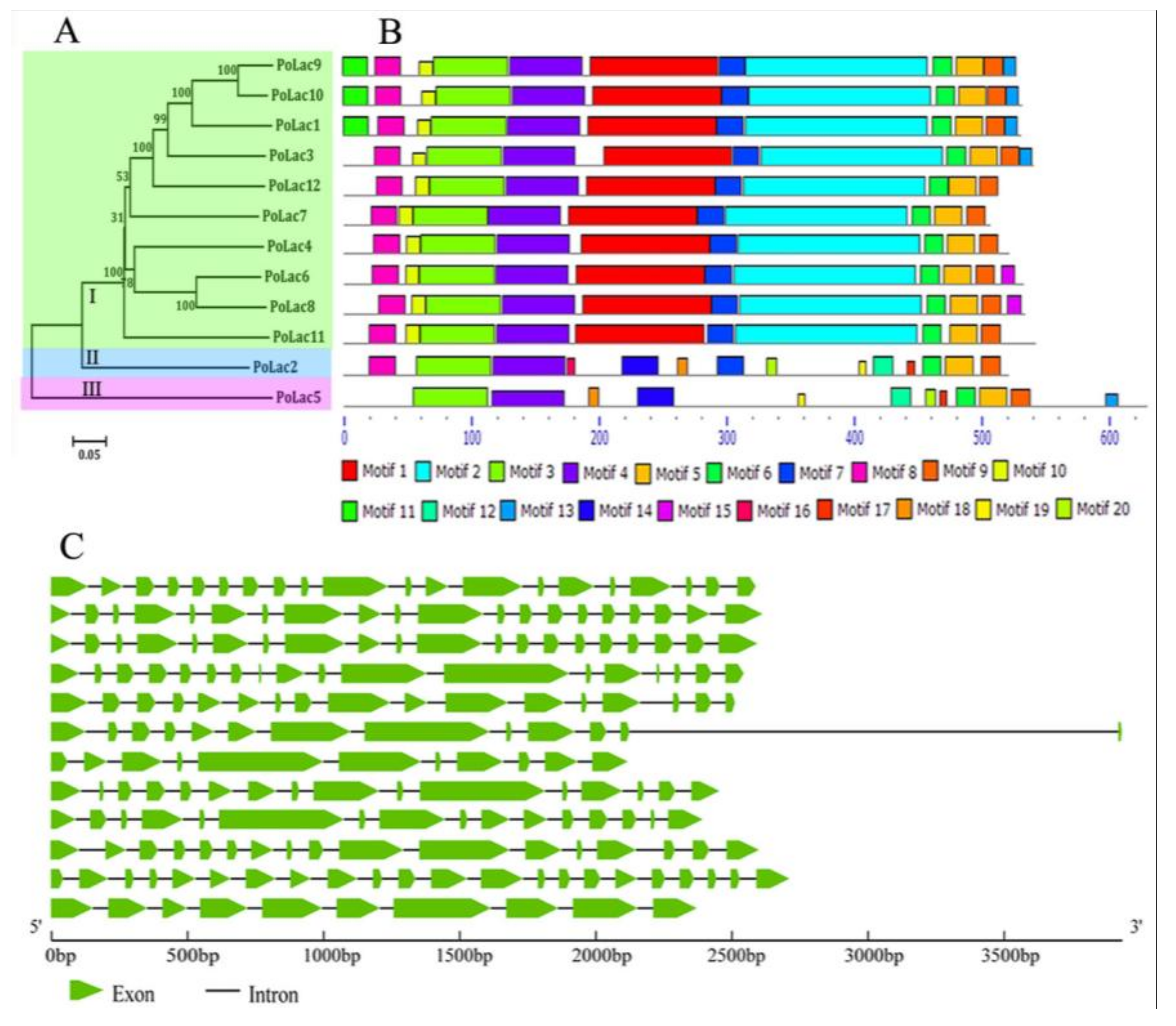 Molecules 23 00880 g001