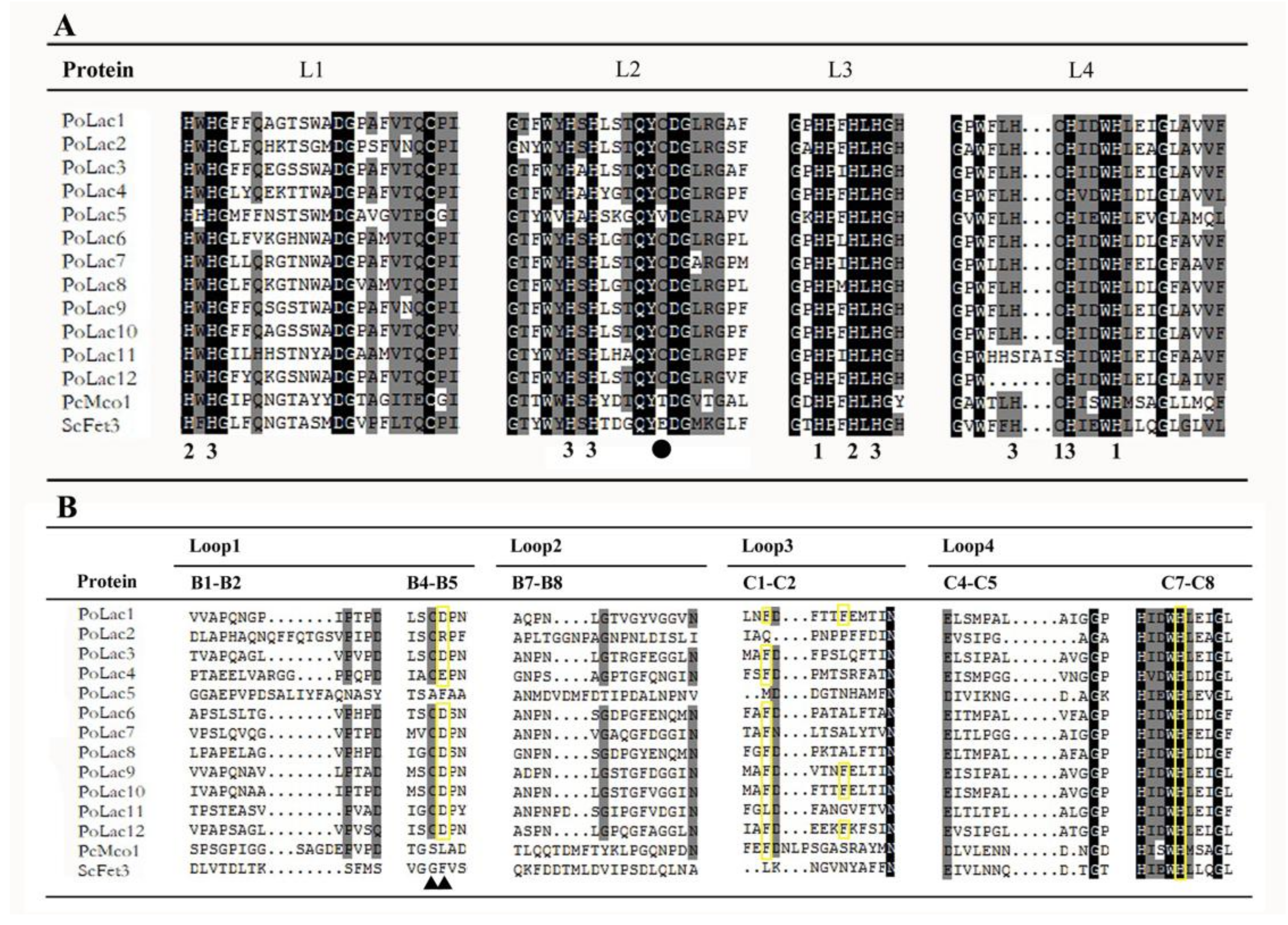 Molecules 23 00880 g002