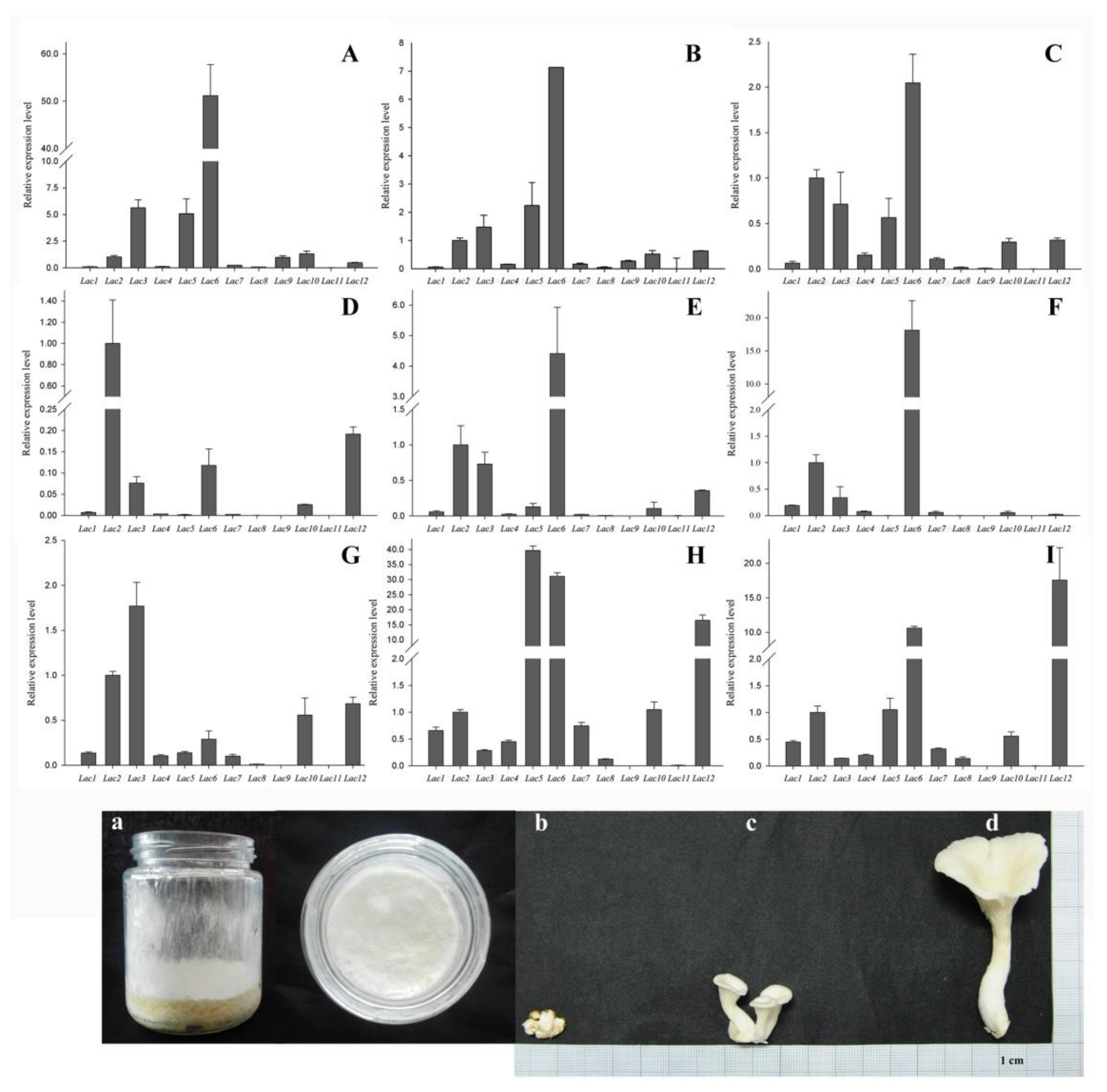 Molecules 23 00880 g005