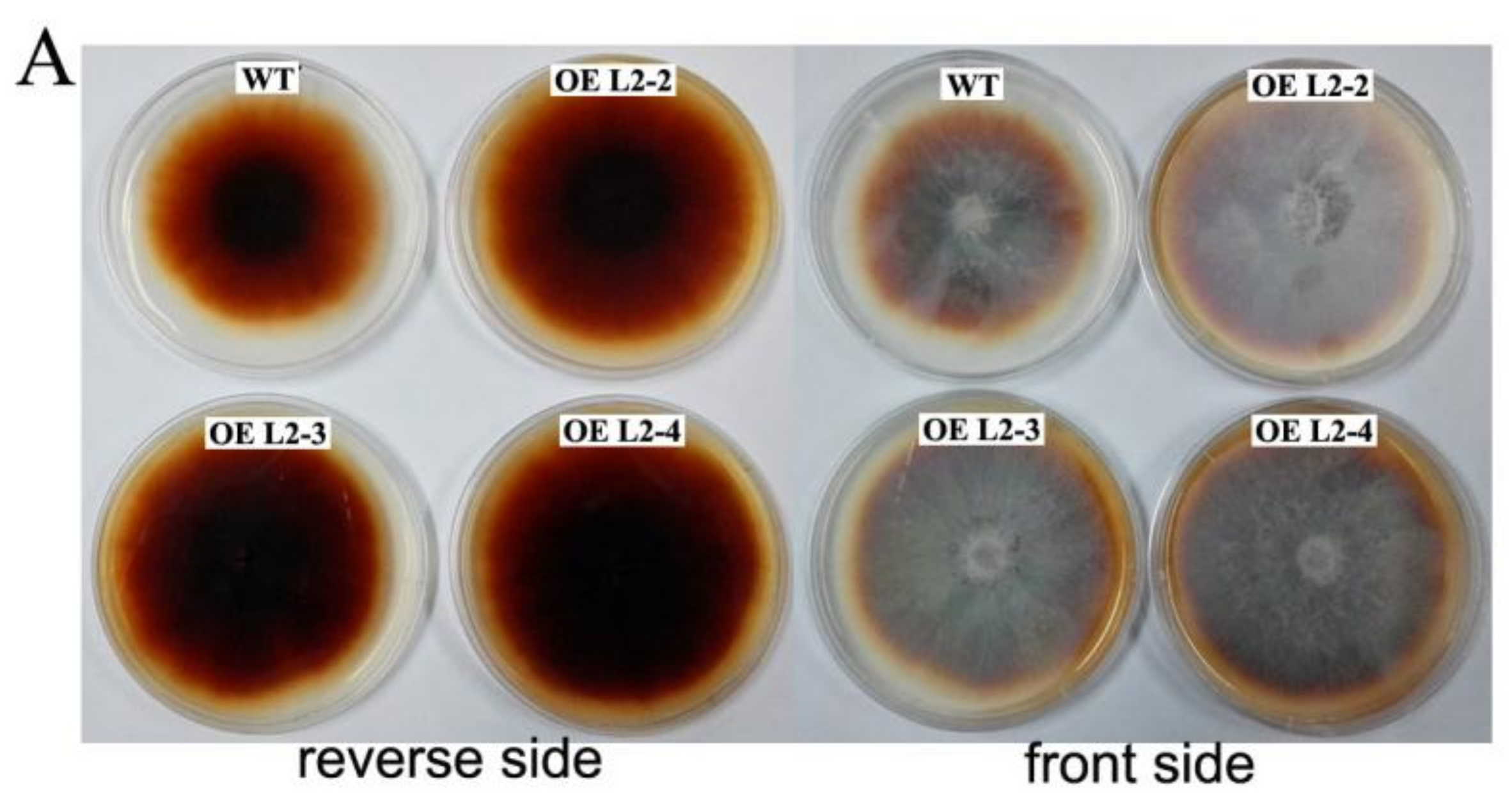 Molecules 23 00880 g007a