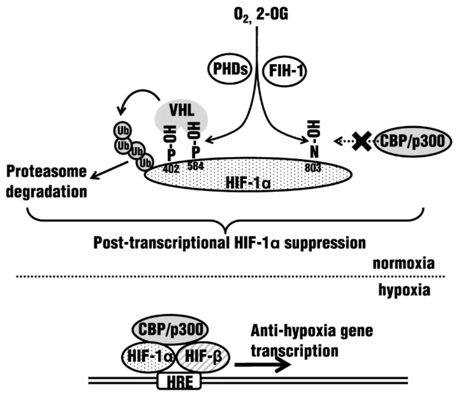 Molecules 23 00885 g001