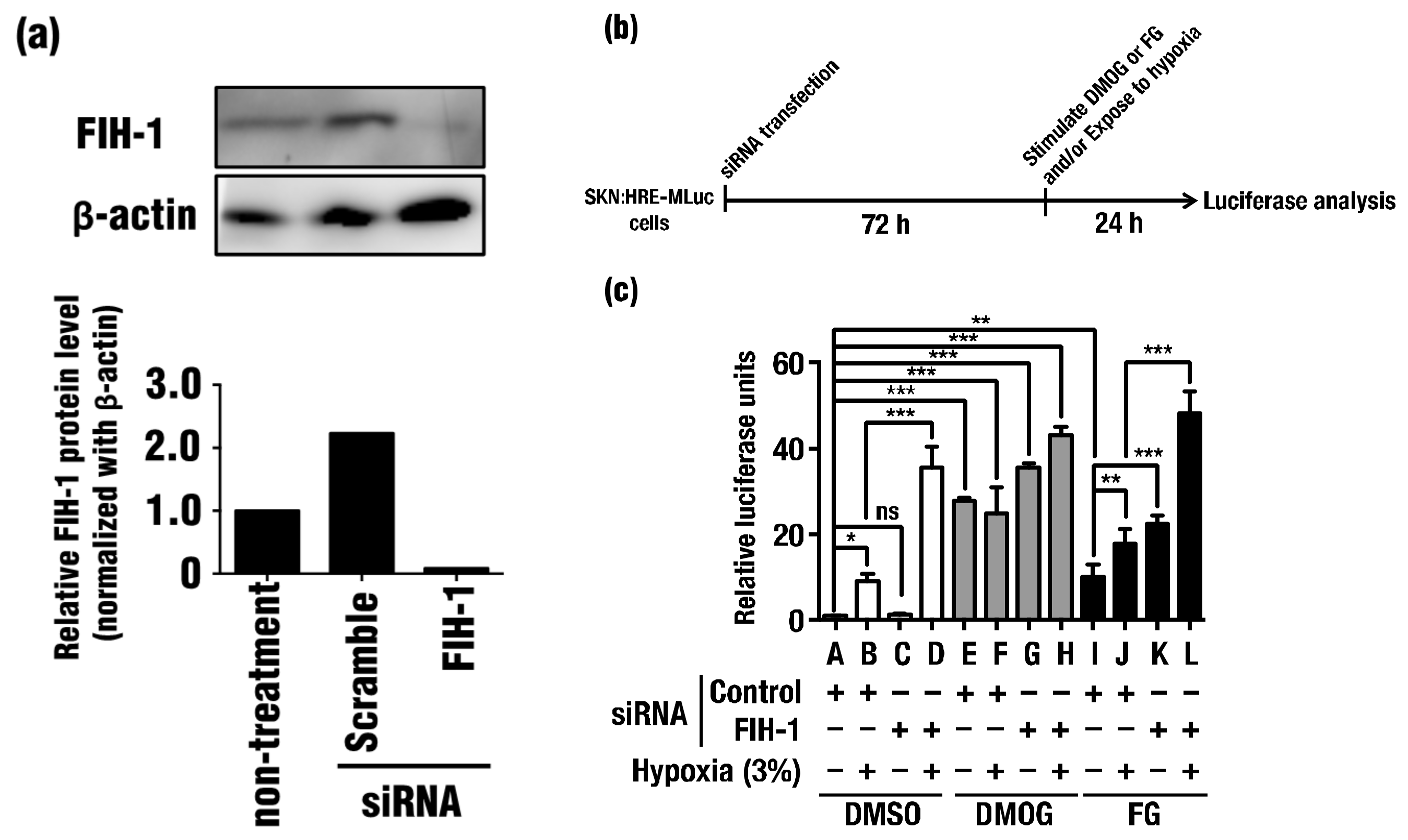 Molecules 23 00885 g003