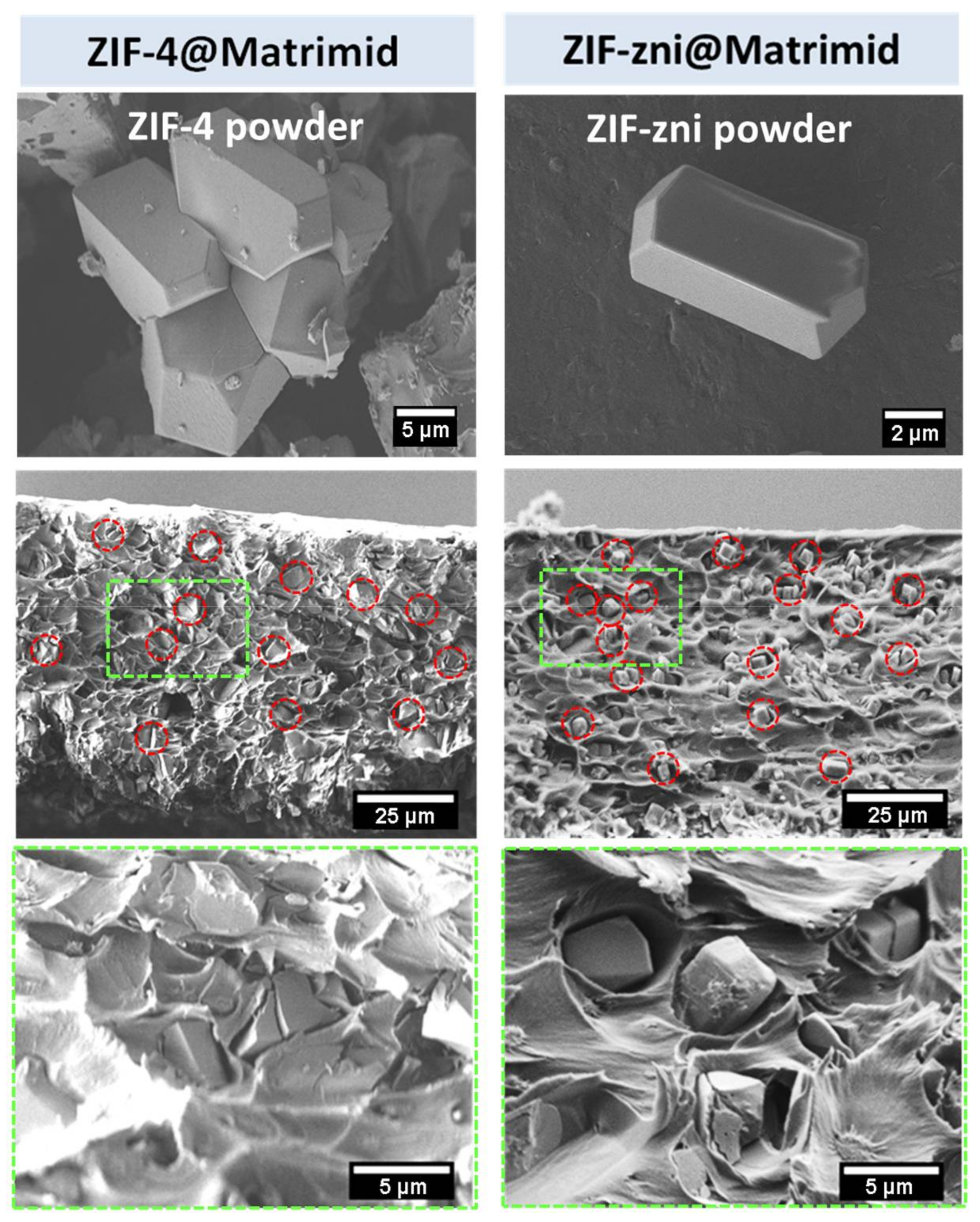 Molecules 23 00889 g005