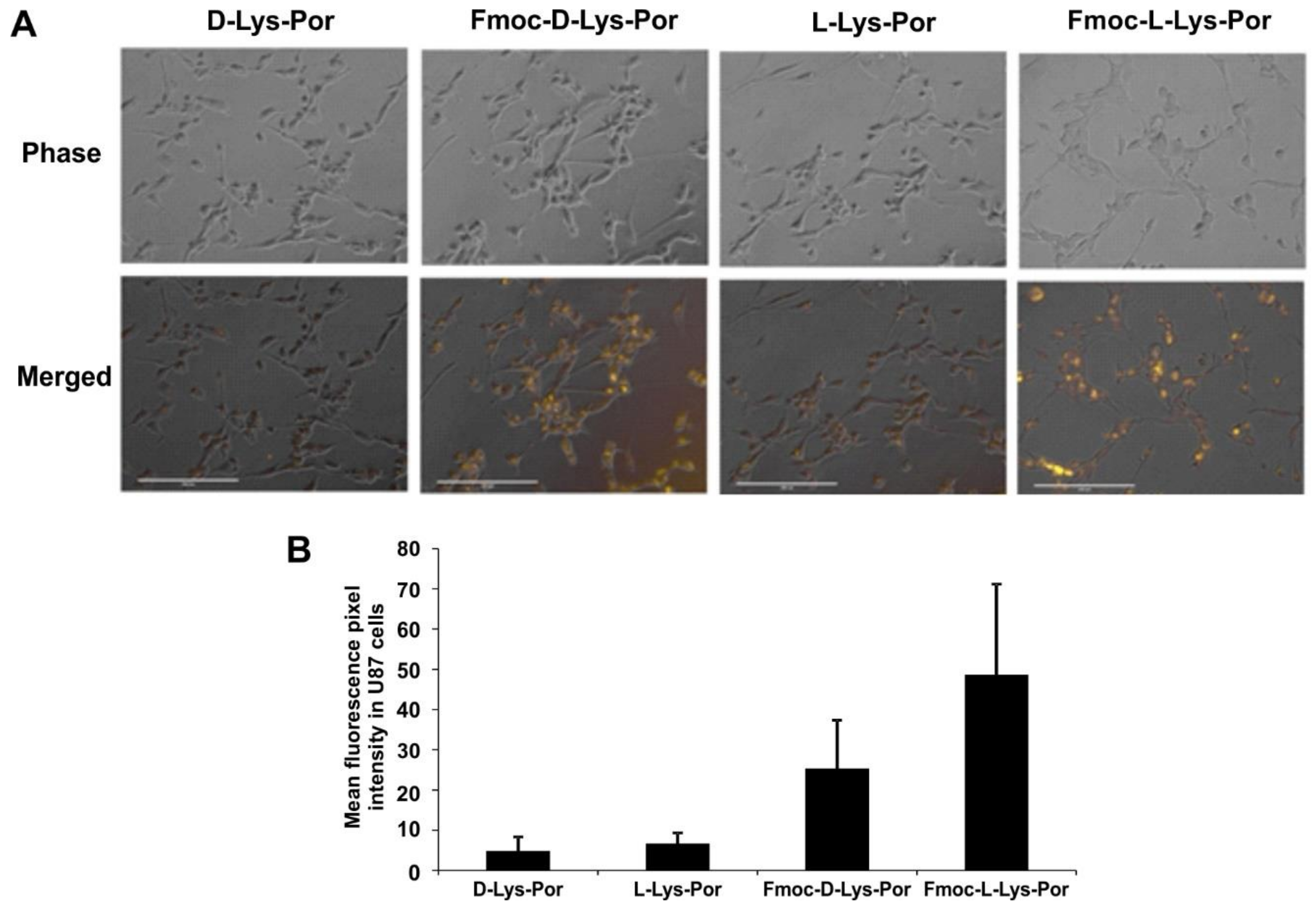 Molecules 23 00892 g005