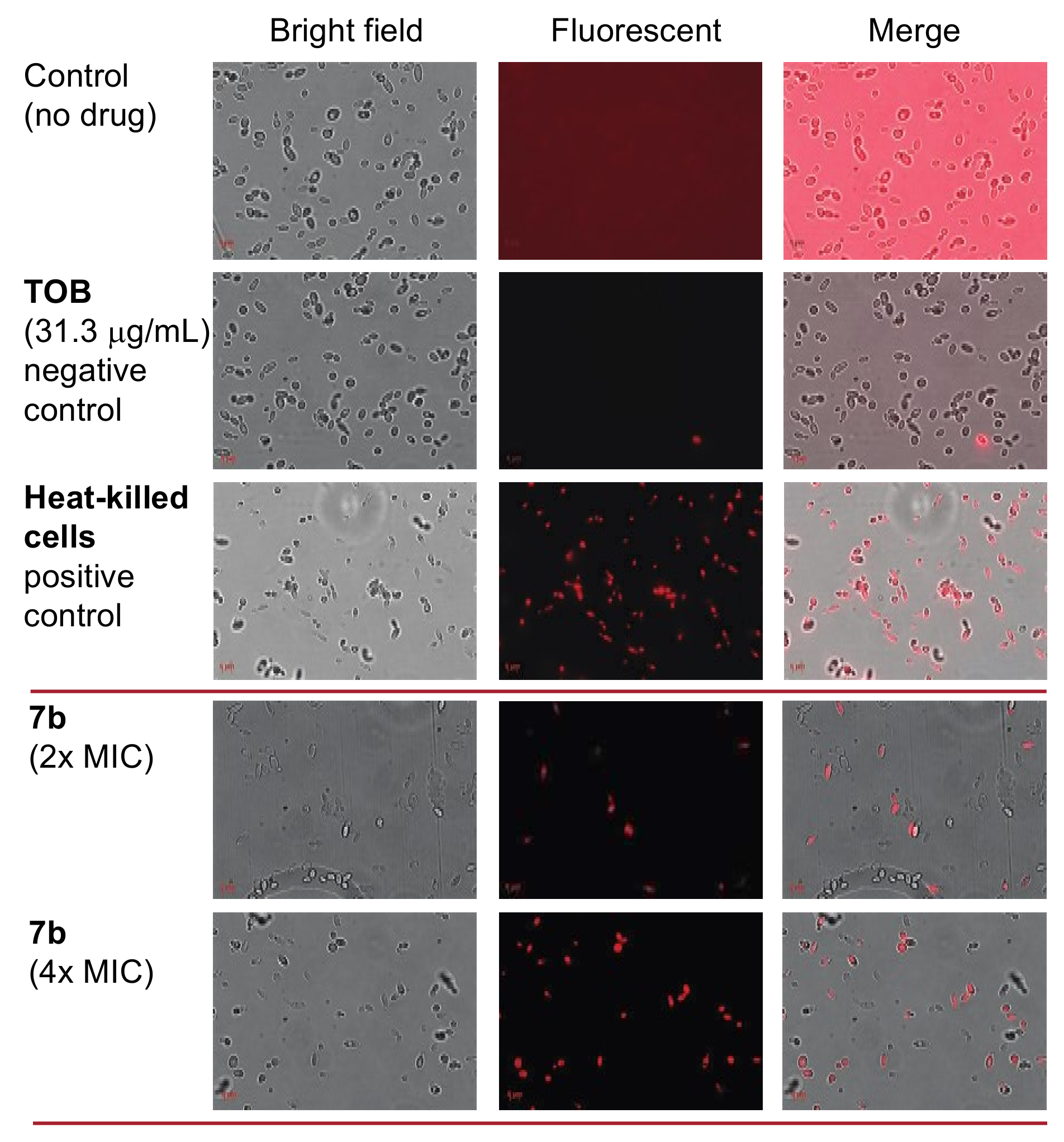 Molecules 23 00899 g004