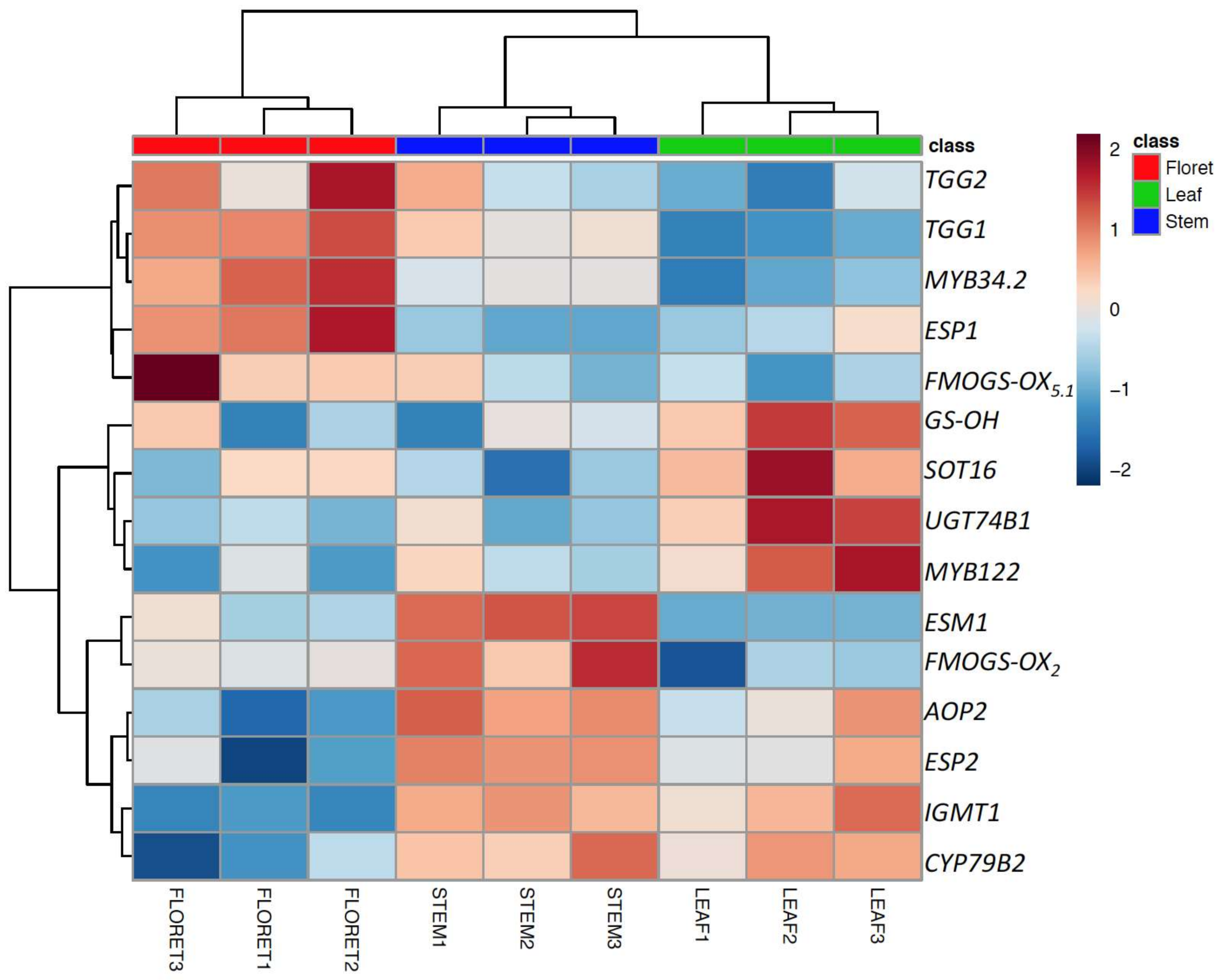 Molecules 23 00900 g004