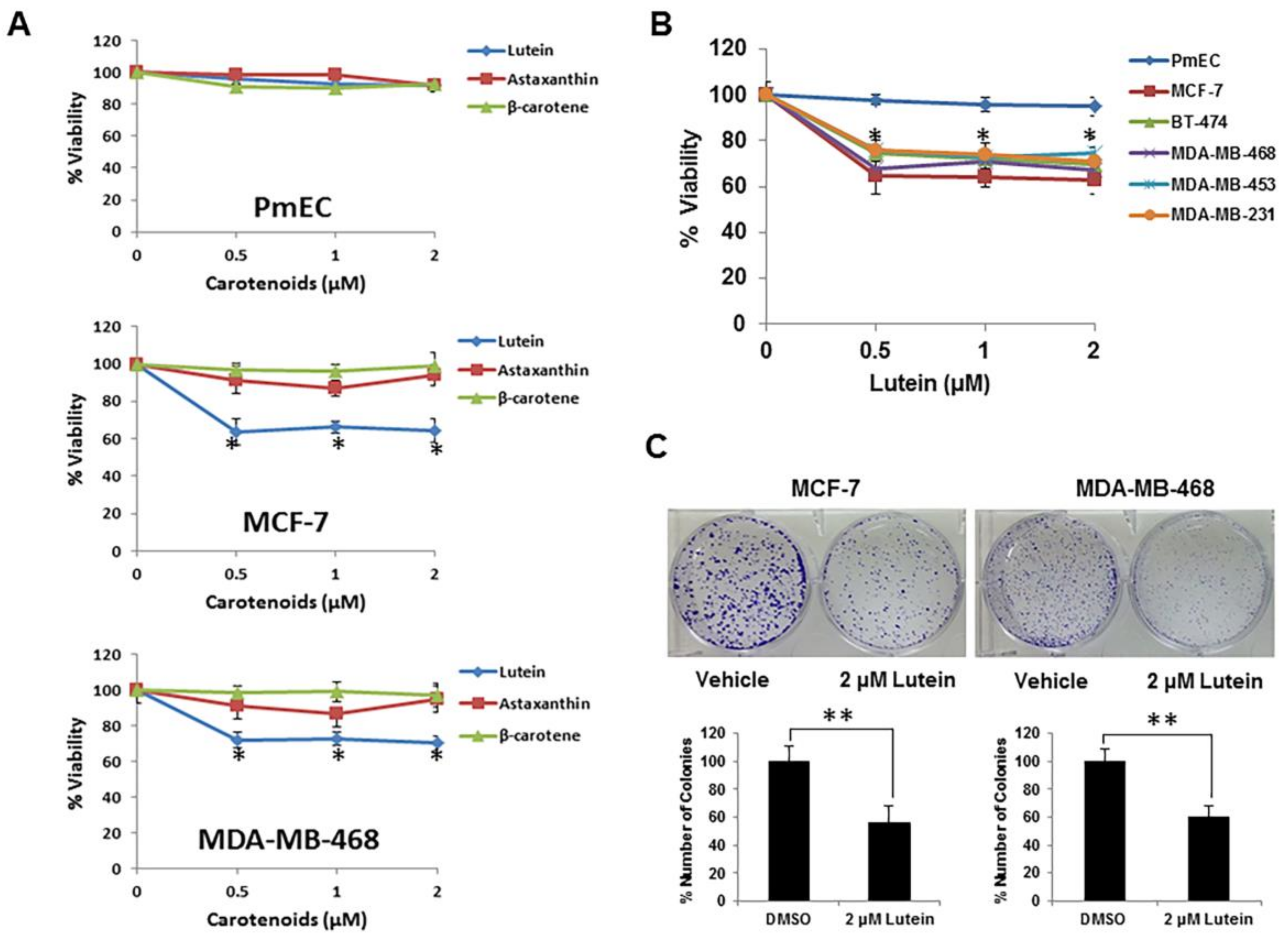 Molecules 23 00905 g001