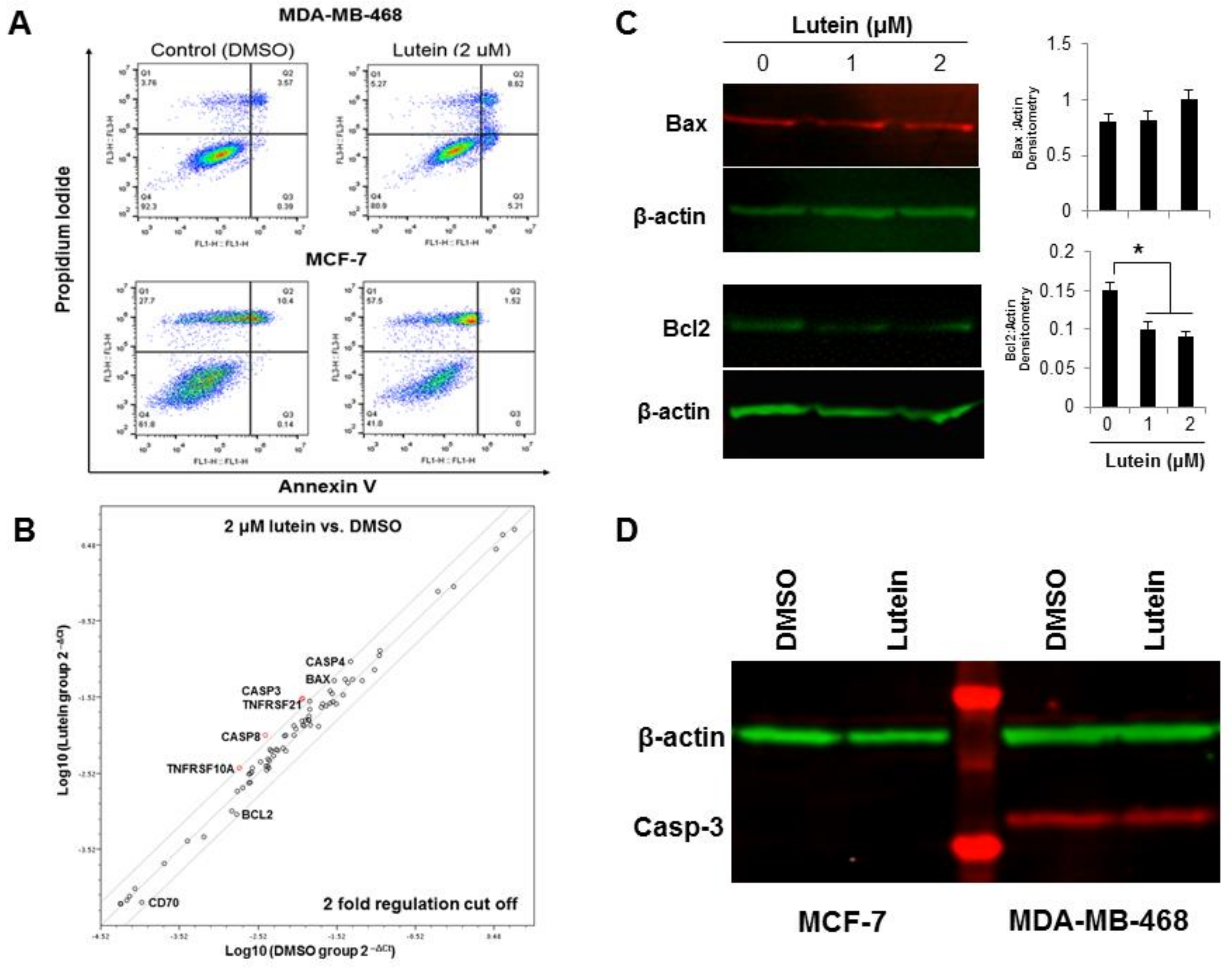 Molecules 23 00905 g003