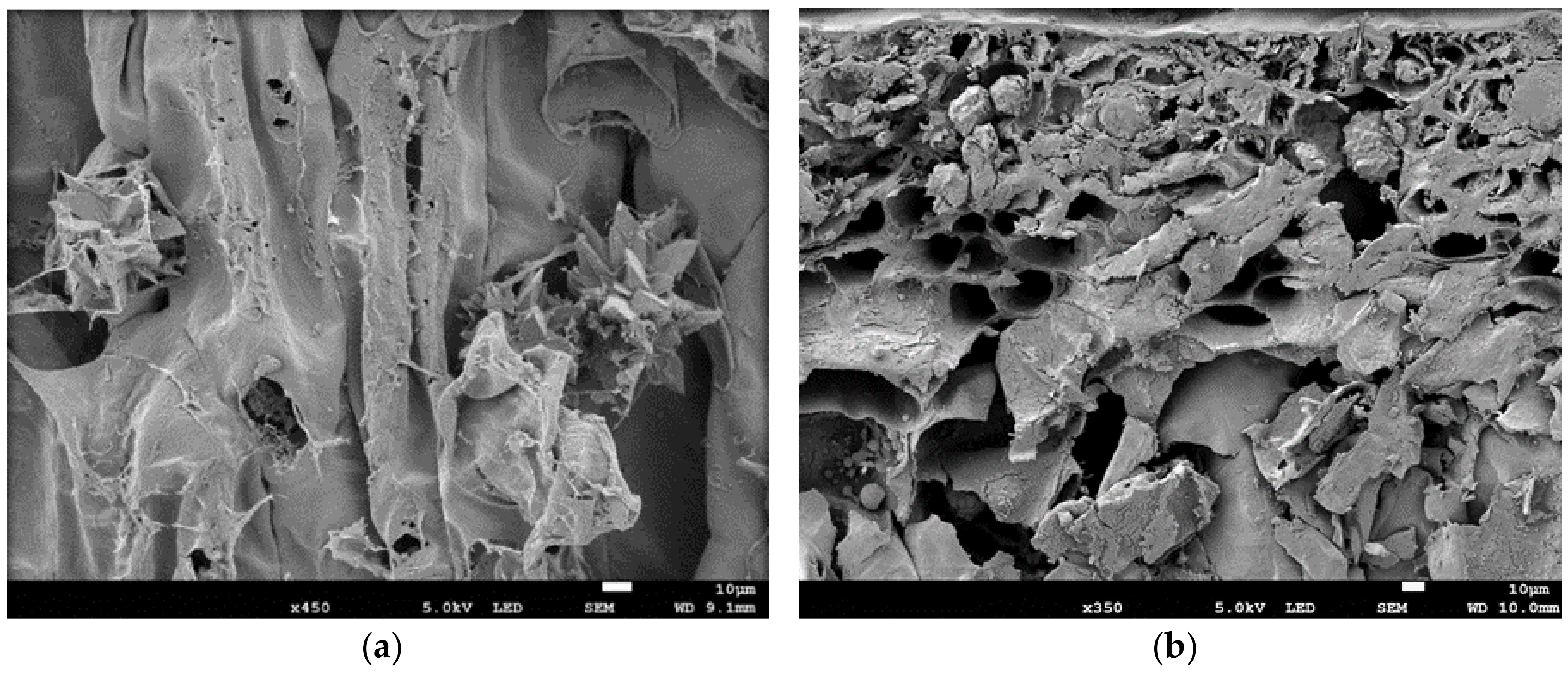 Molecules 23 00916 g002