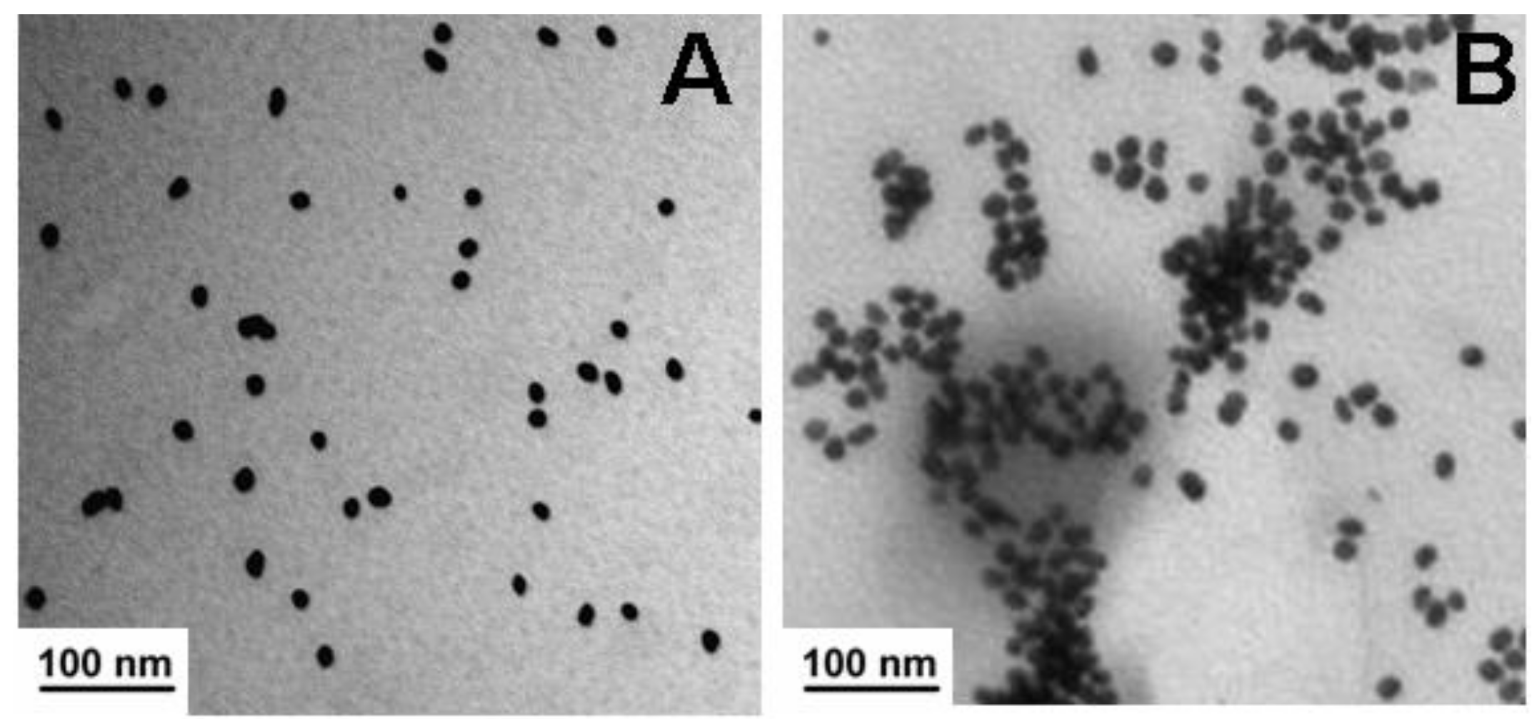Molecules 23 00921 g005