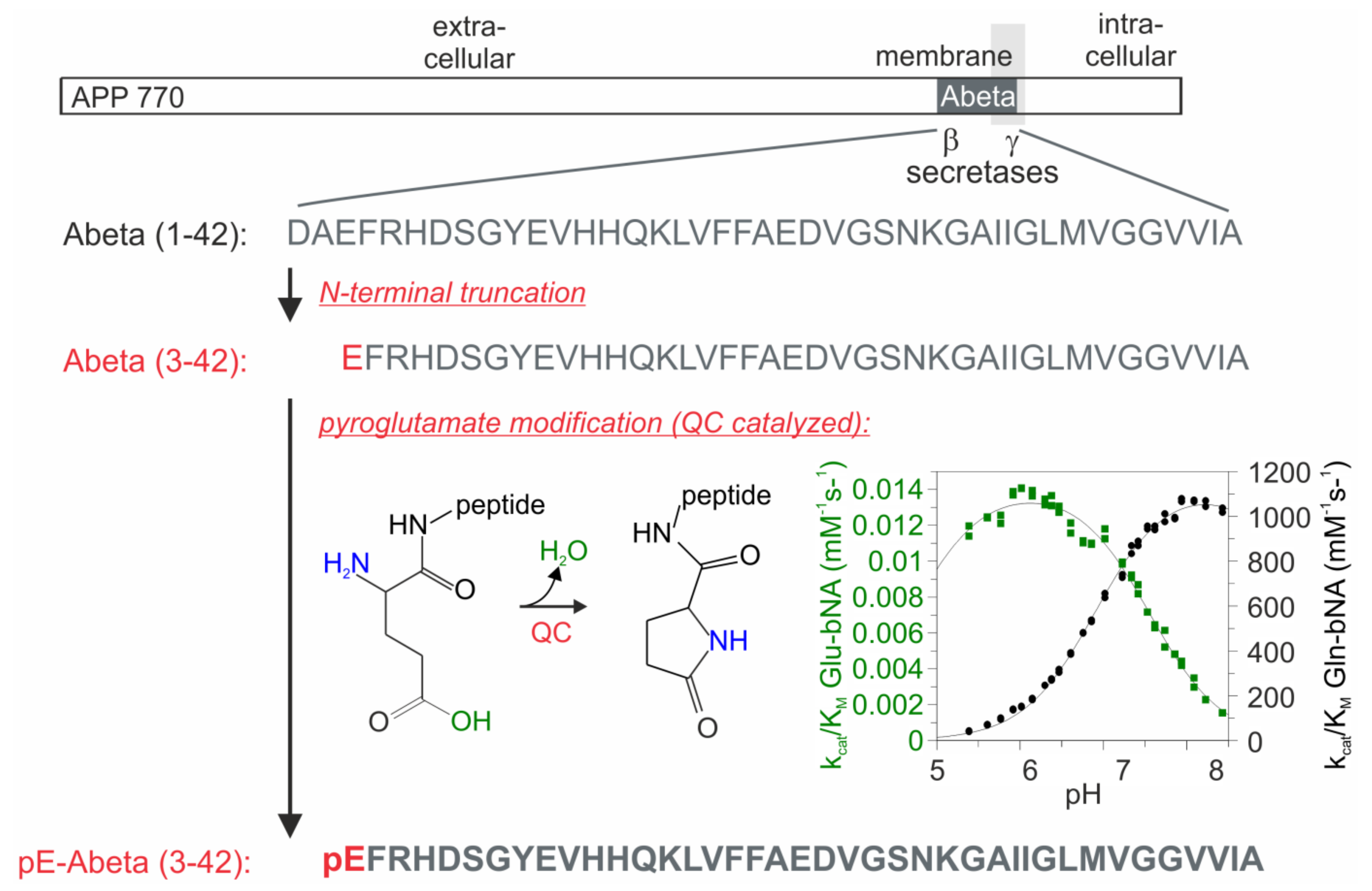 Molecules 23 00924 g001