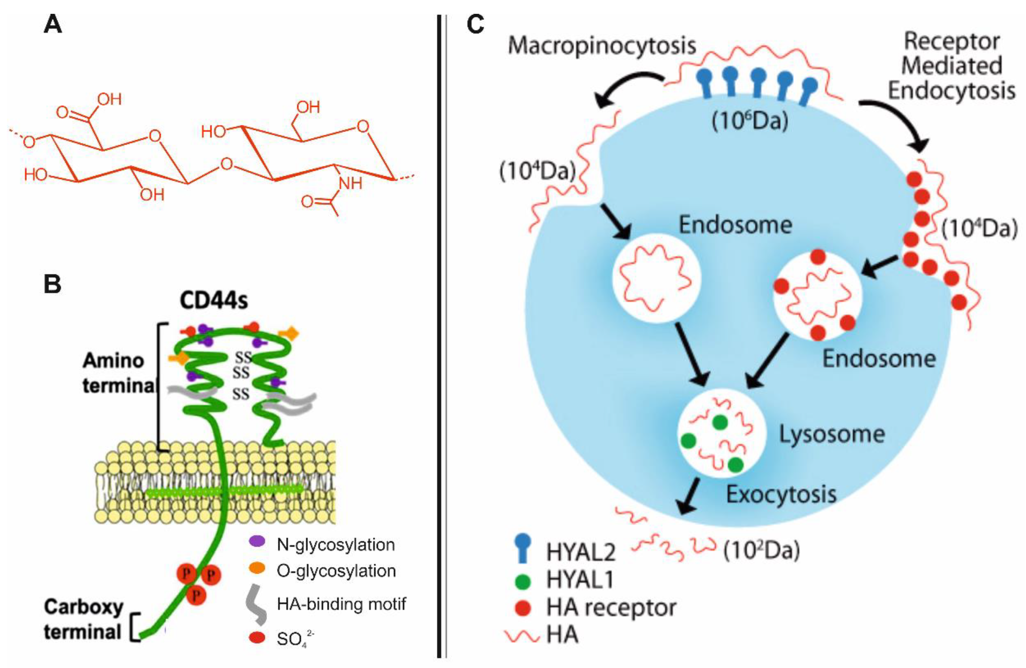 Molecules 23 00939 g001