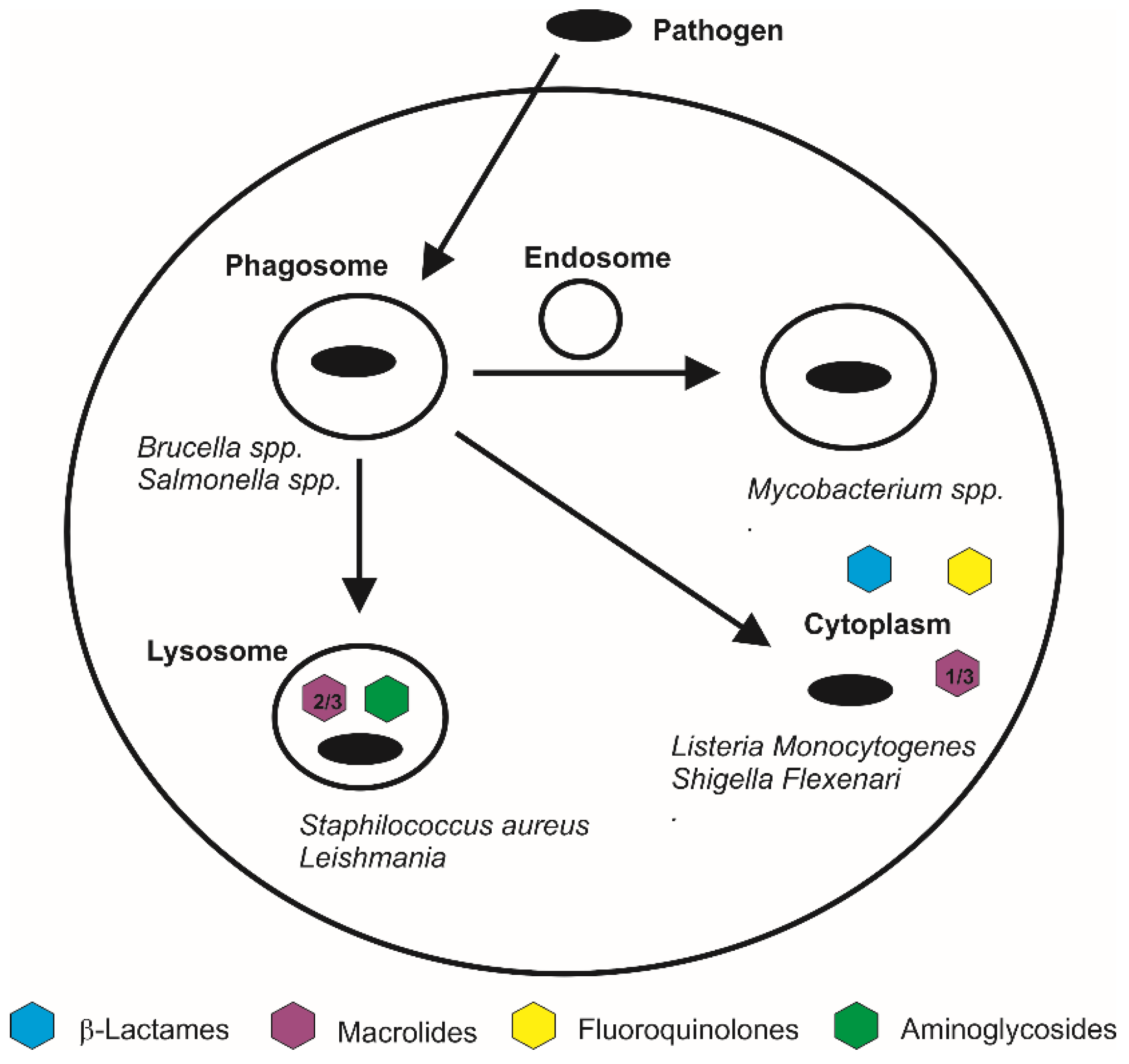 Molecules 23 00939 g002