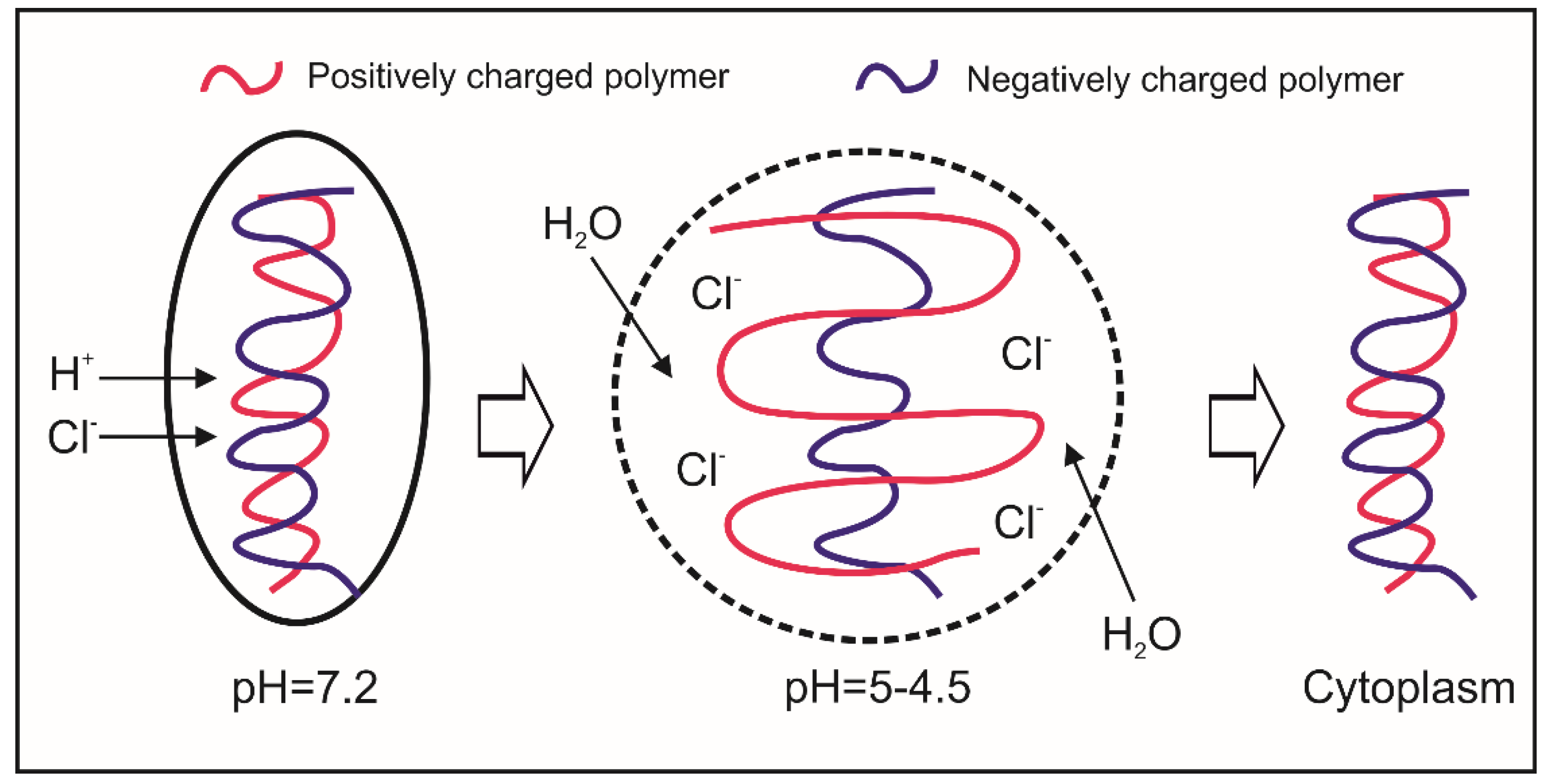 Molecules 23 00939 g003