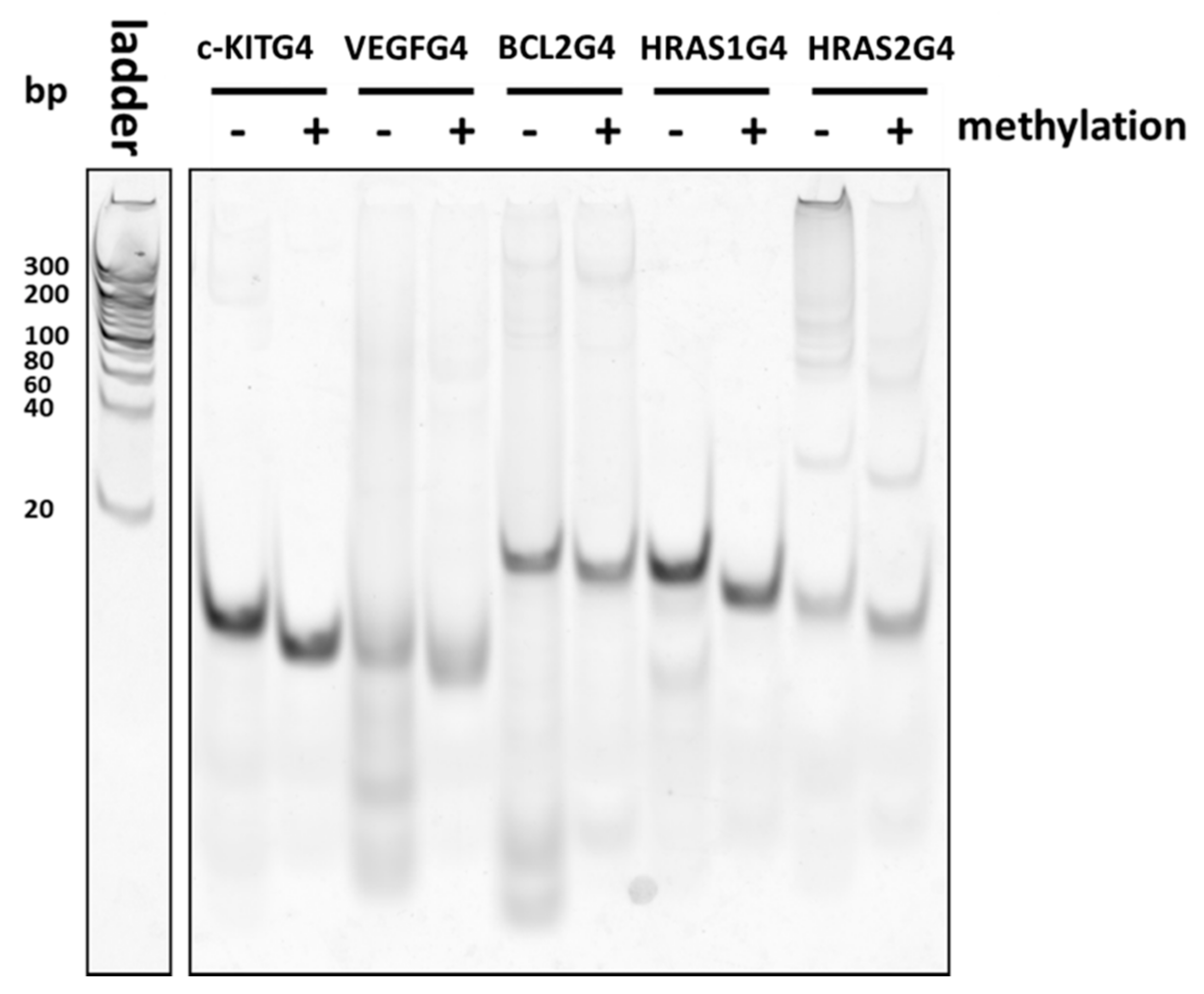 Molecules 23 00944 g006