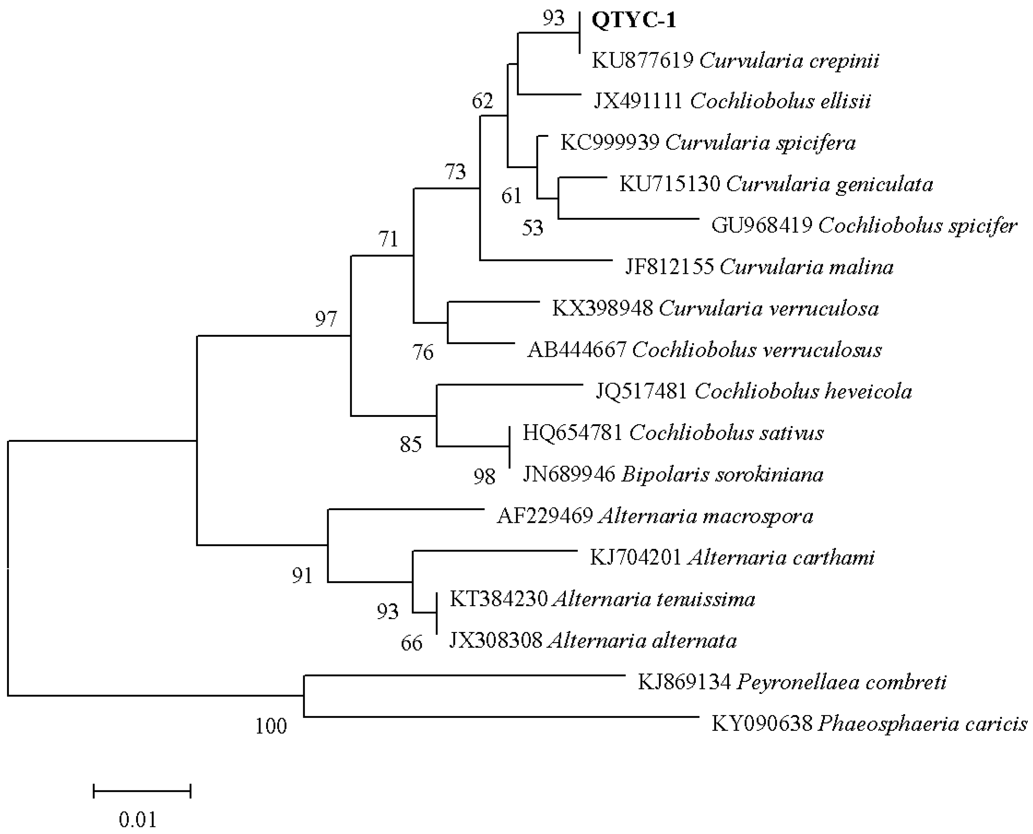 Molecules 23 00951 g001