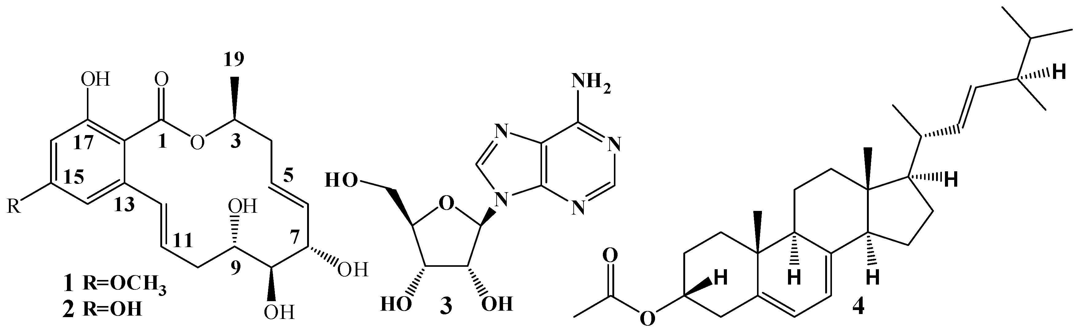 Molecules 23 00951 g002