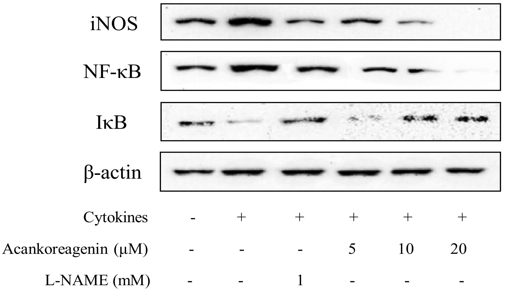 Molecules 23 00958 g008