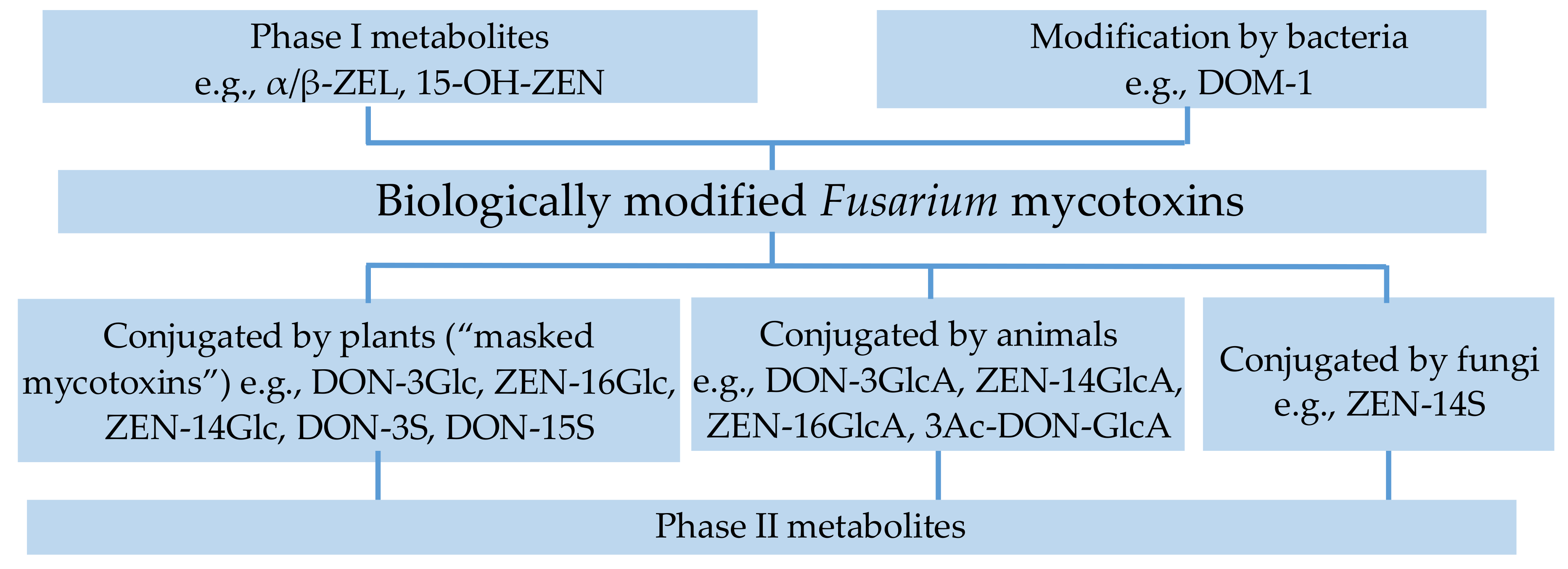 Molecules 23 00963 g001