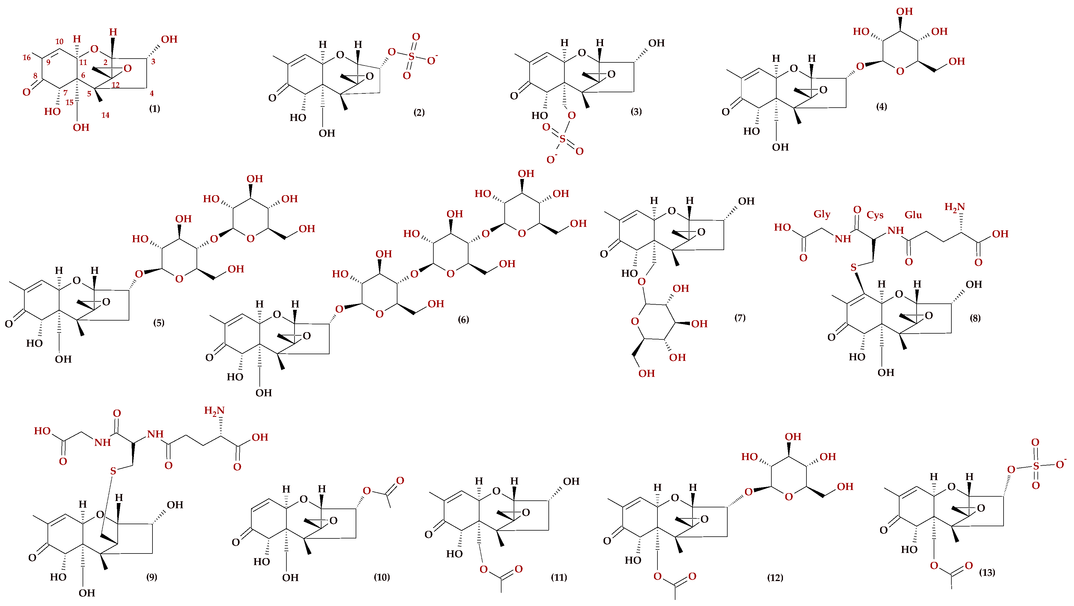 Molecules 23 00963 g002
