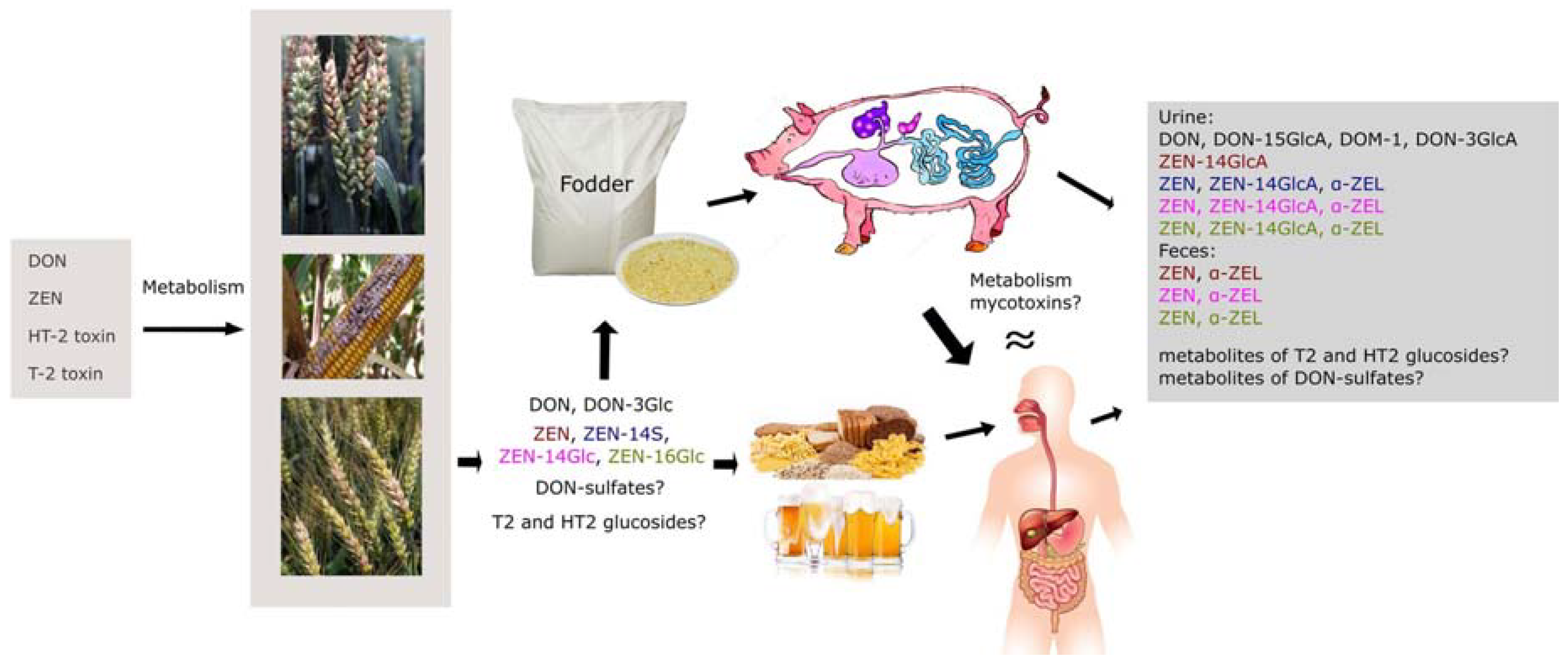 Molecules 23 00963 g005