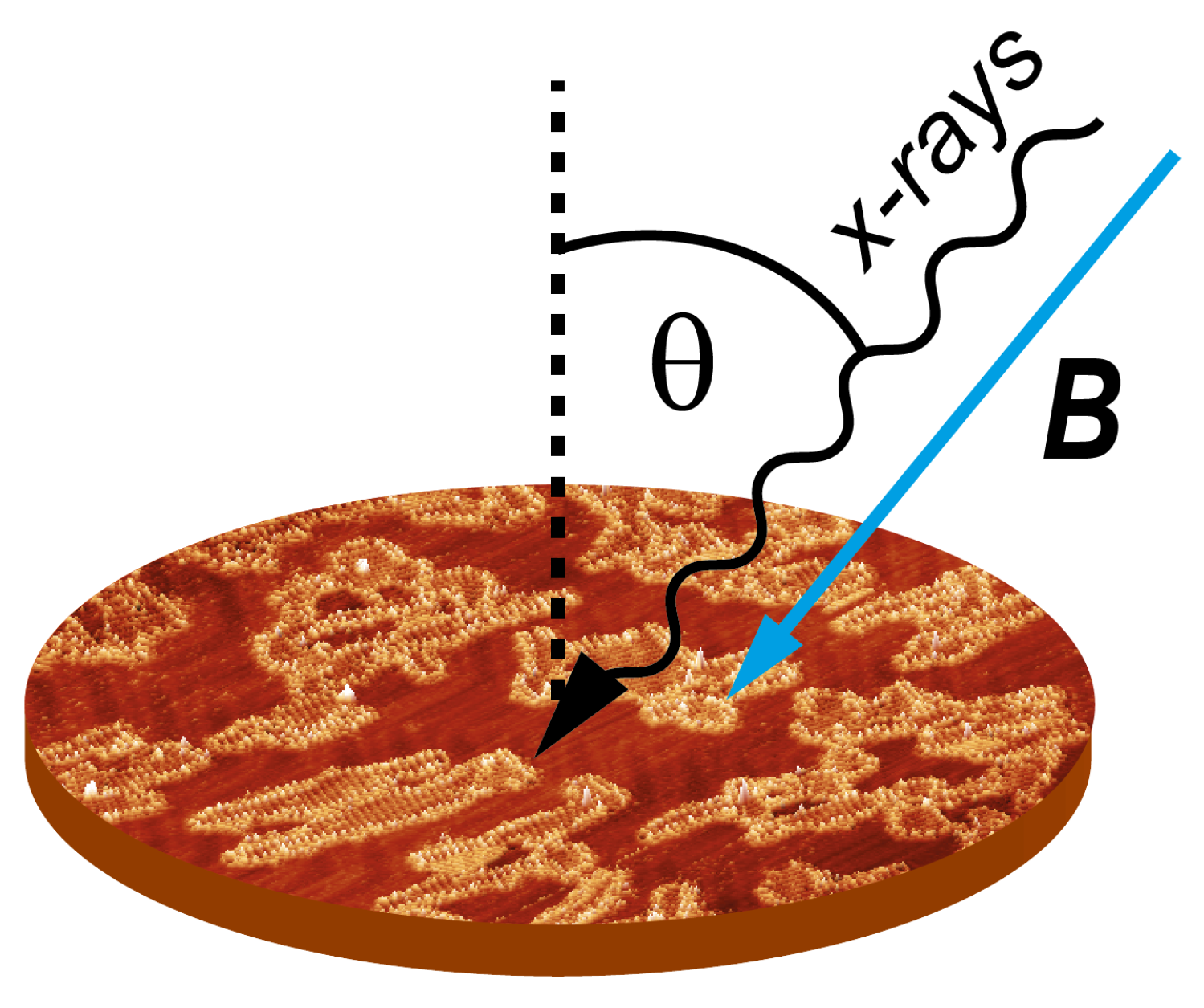 Molecules 23 00964 g001
