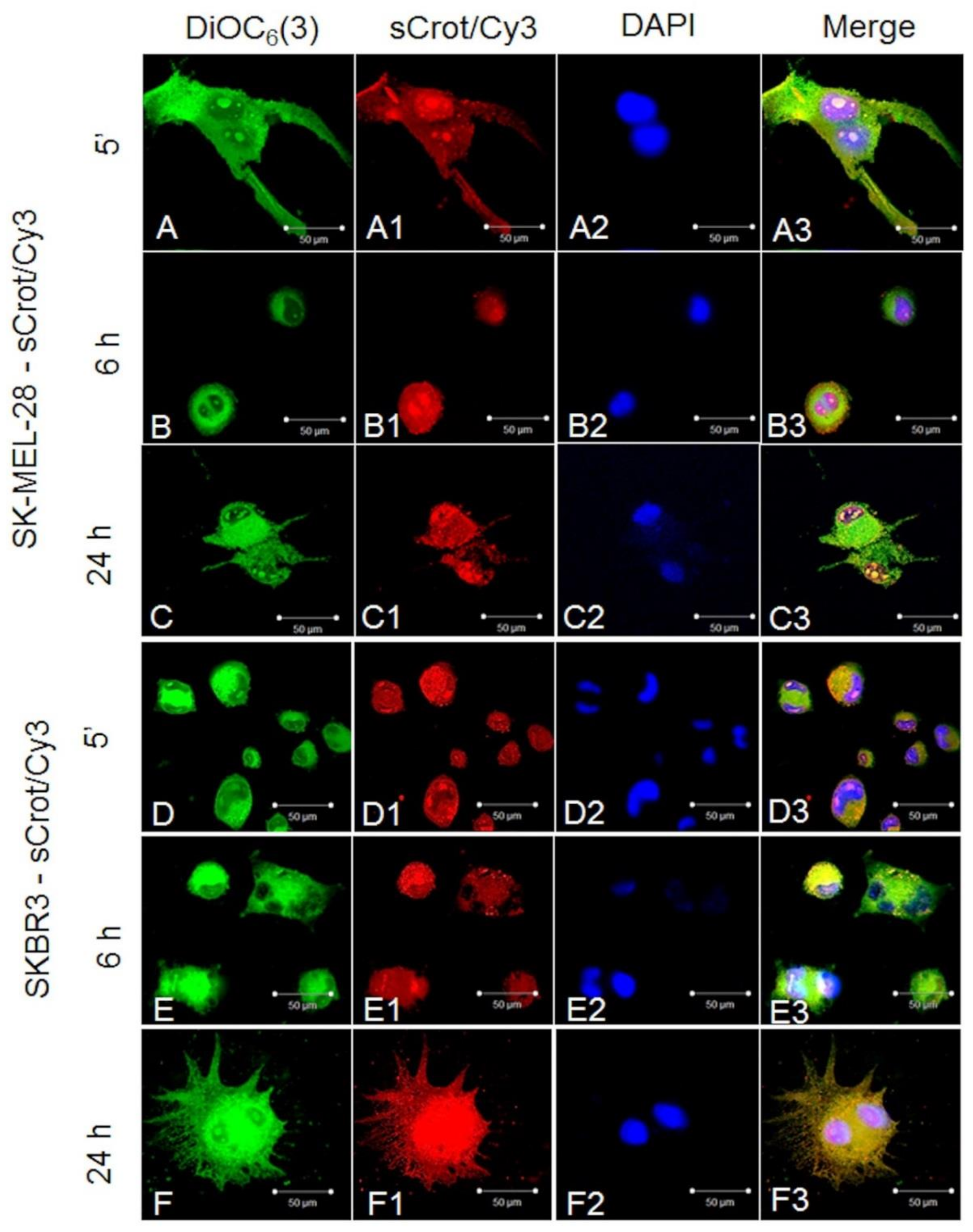Molecules 23 00968 g002