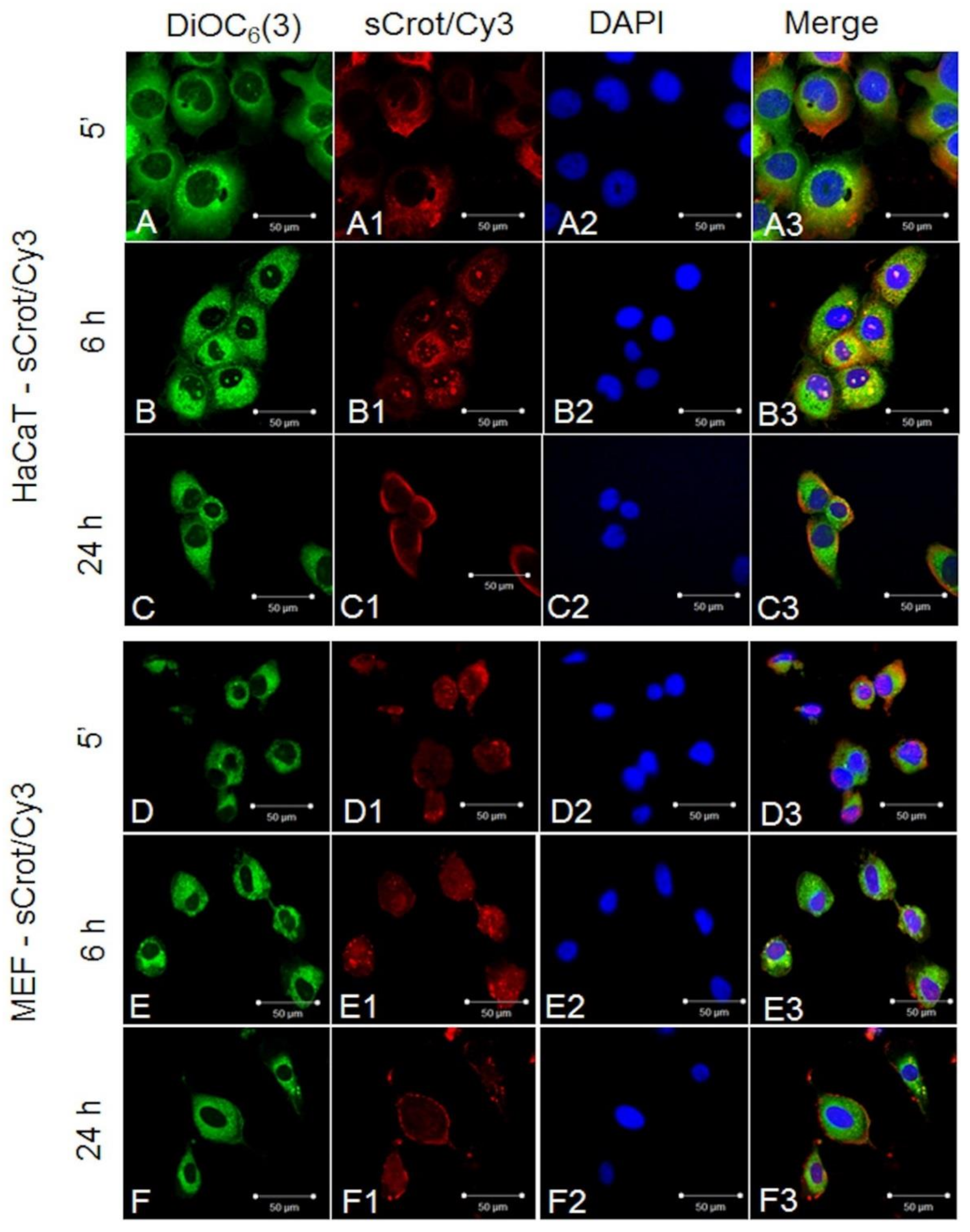 Molecules 23 00968 g003