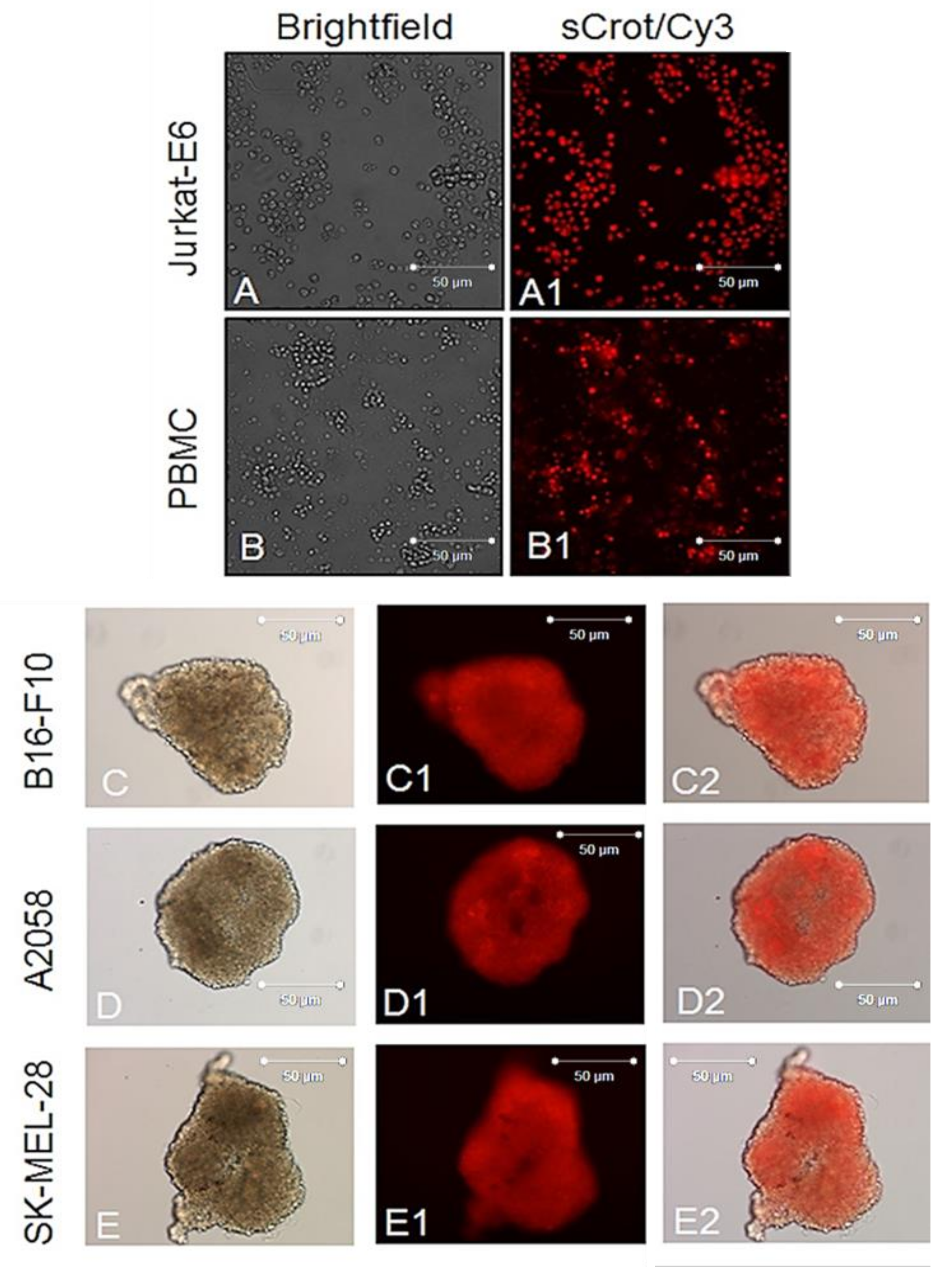 Molecules 23 00968 g004