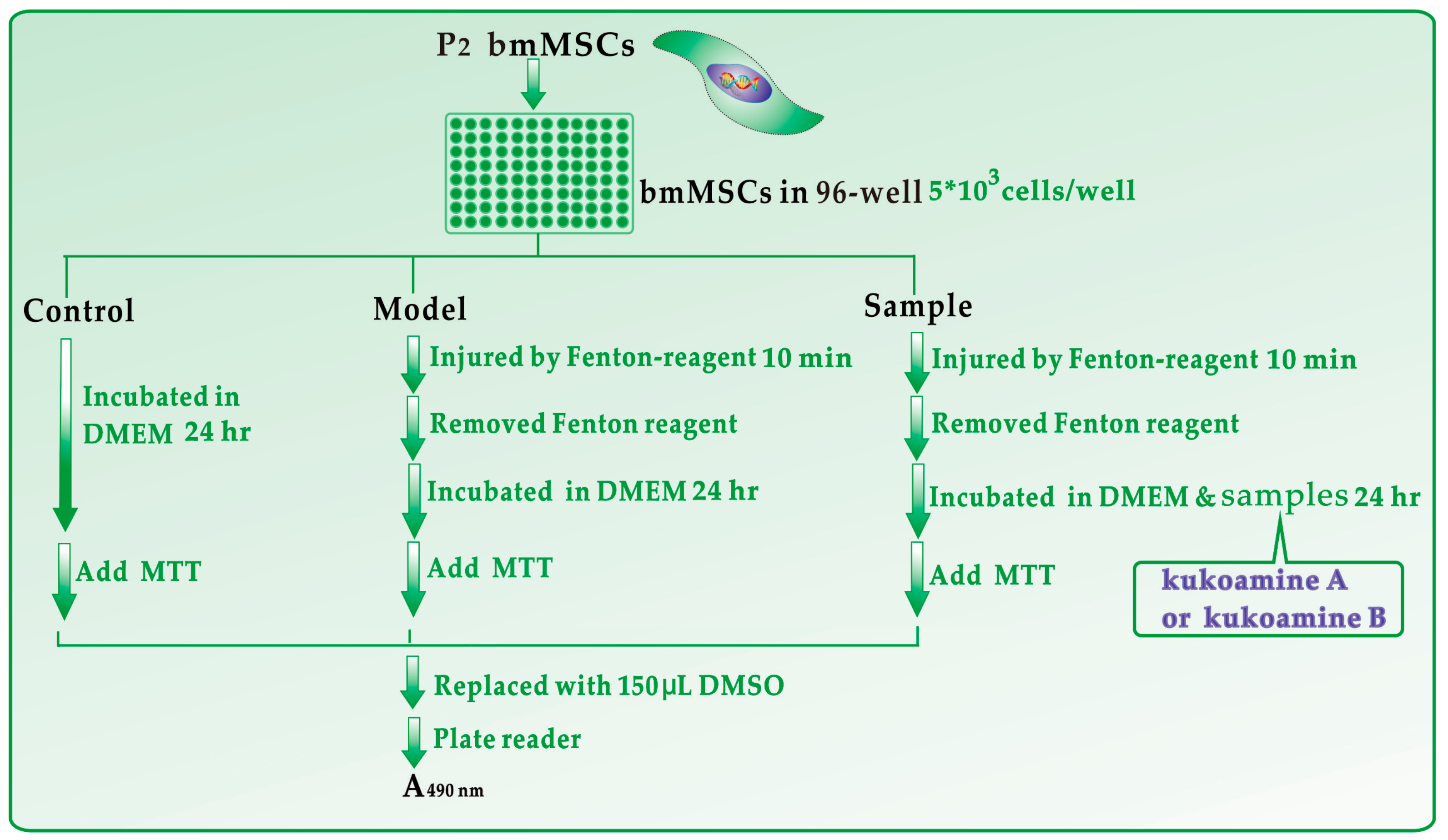Molecules 23 00973 g009