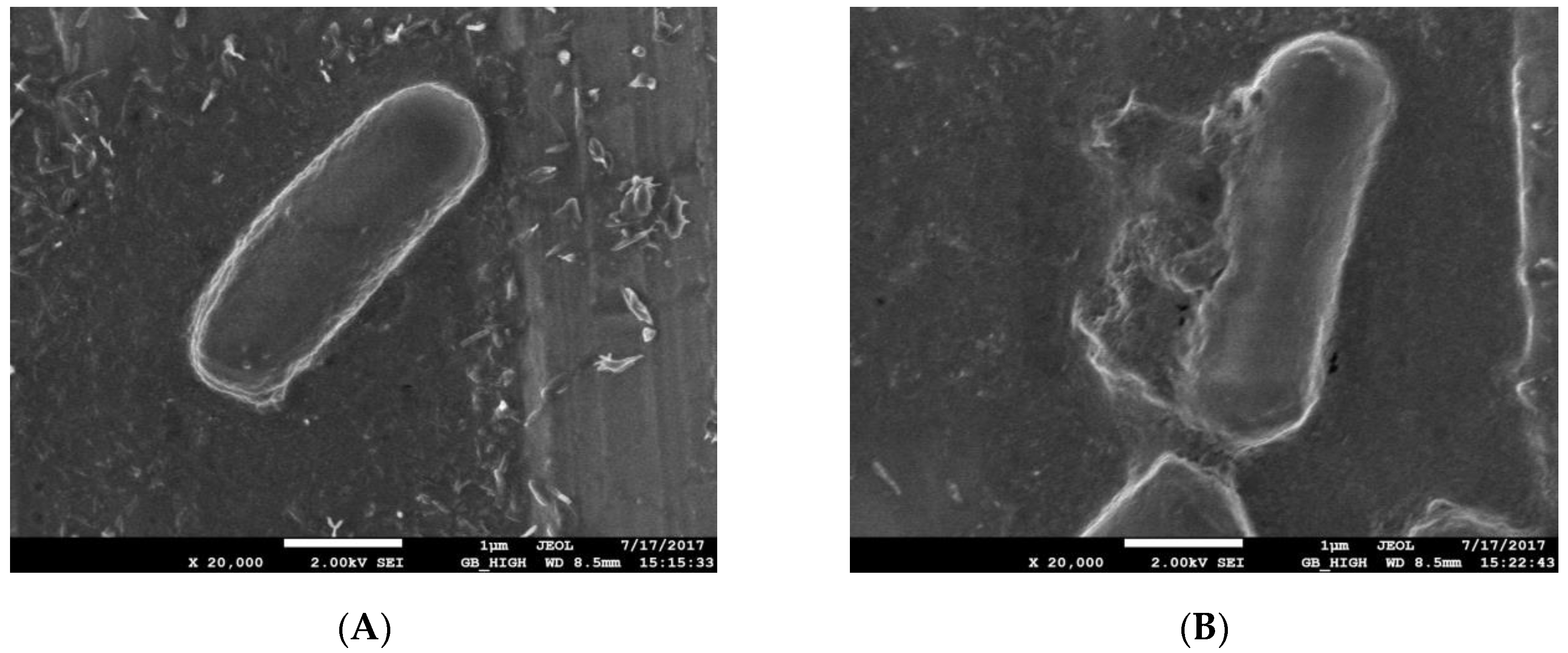 Molecules 23 00975 g001
