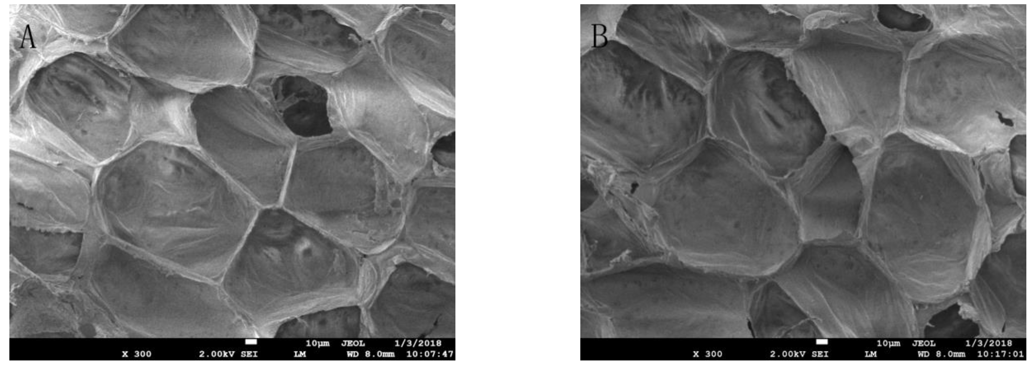 Molecules 23 00975 g006