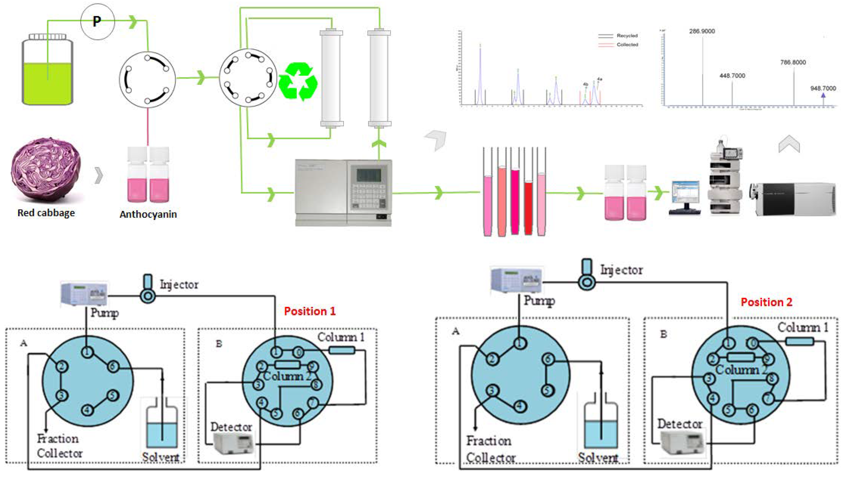 Molecules 23 00991 g007