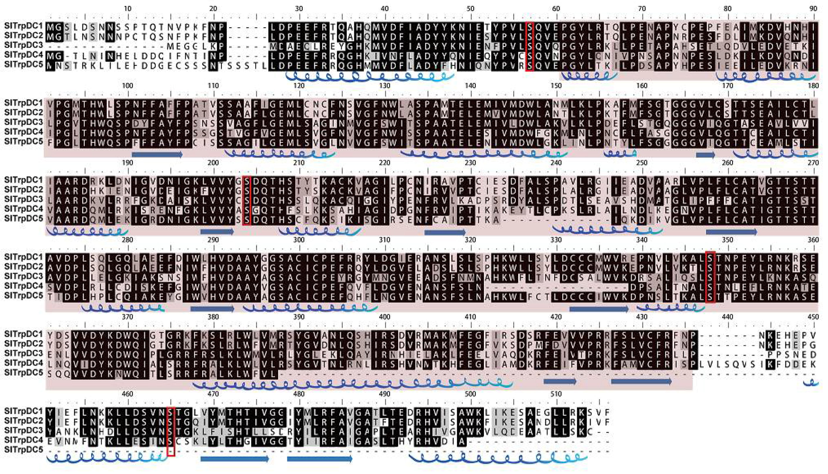 Molecules 23 00998 g001